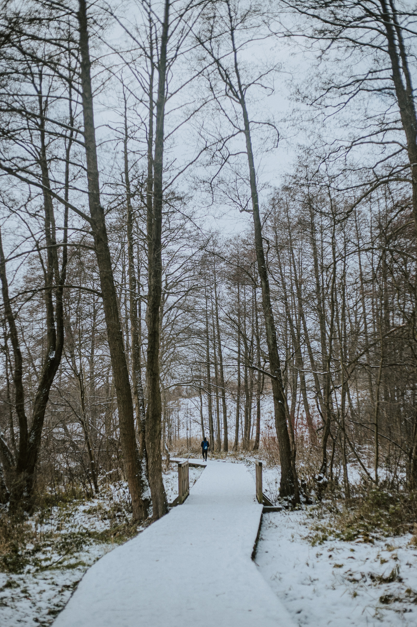 Starogard Gdanski Zima 2023