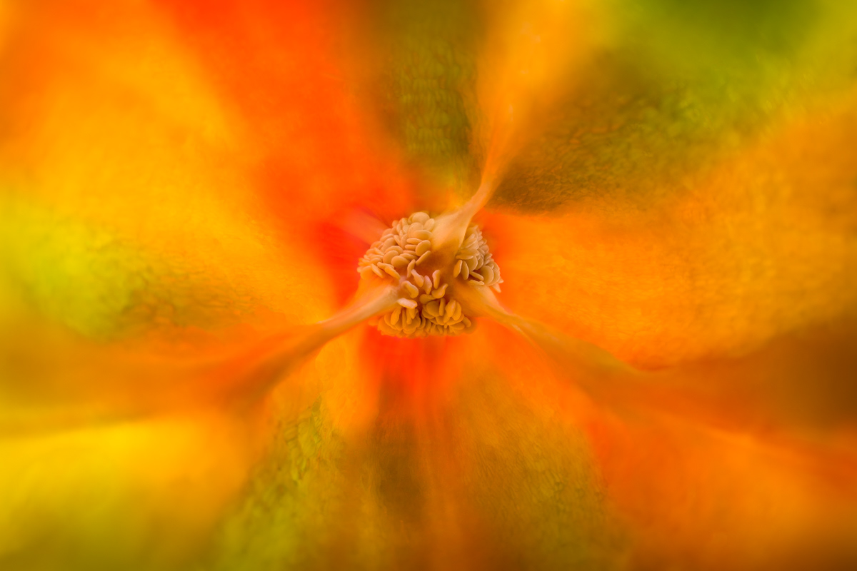 INSIDE FOOD - RED PEPPER