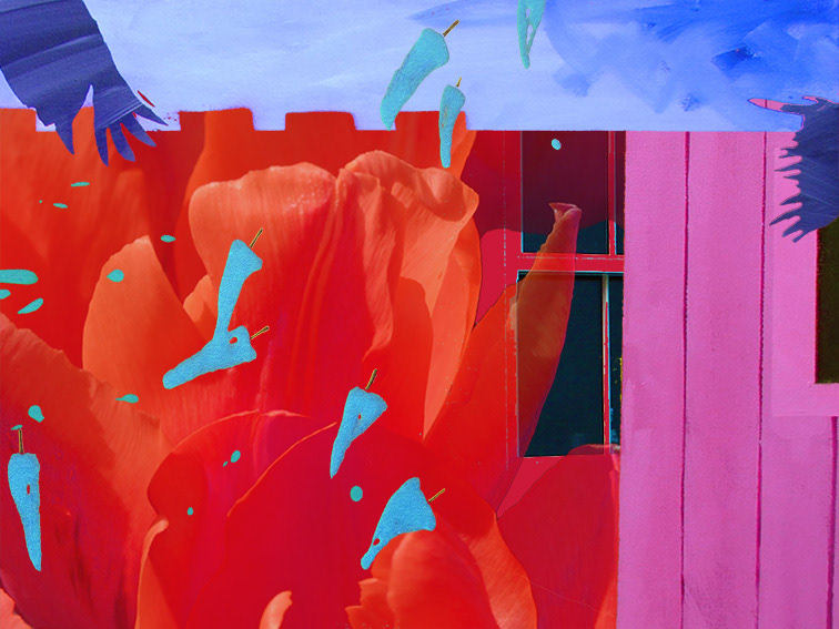 Composition with Pink Shed and Blue Chillis