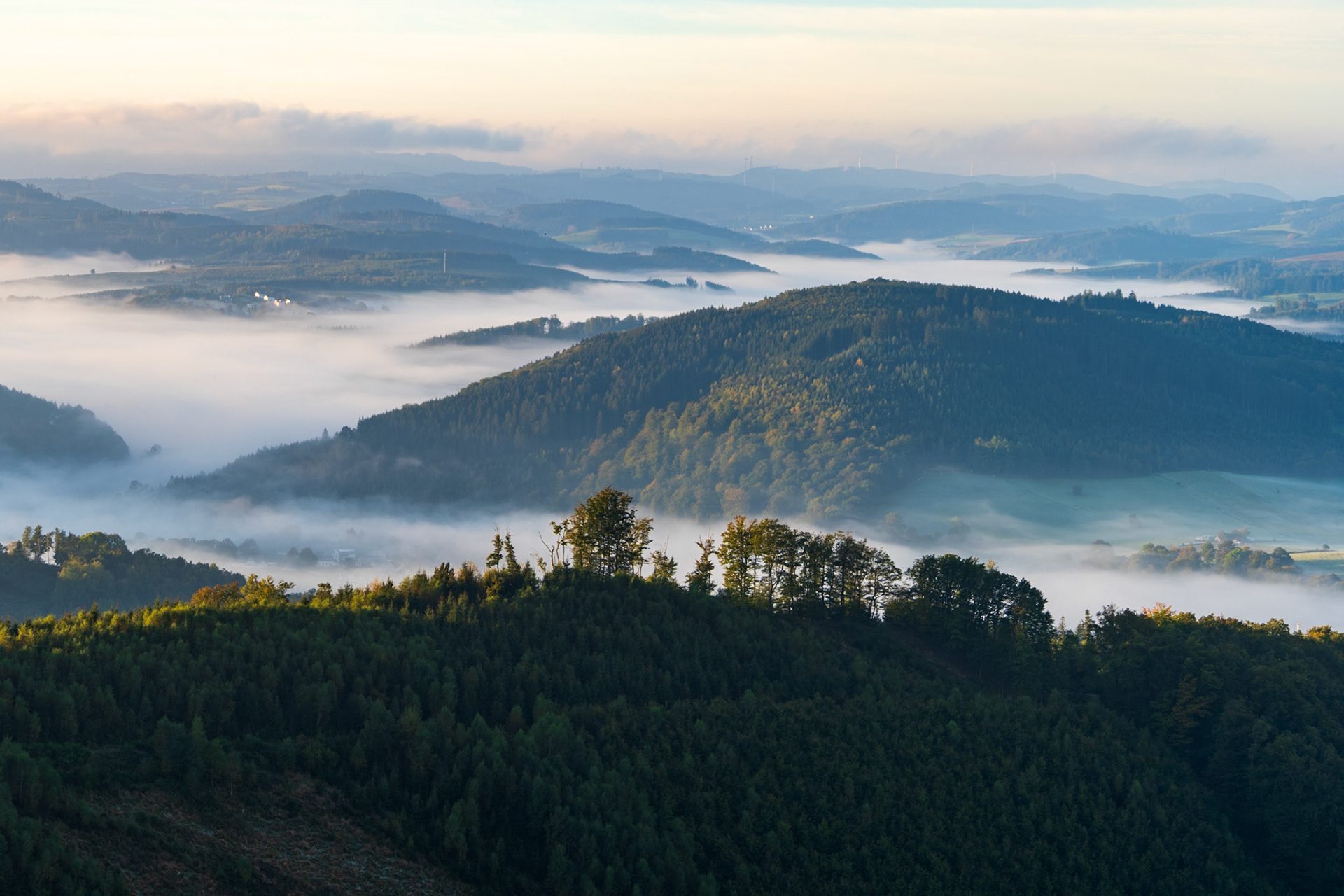 Sauerland