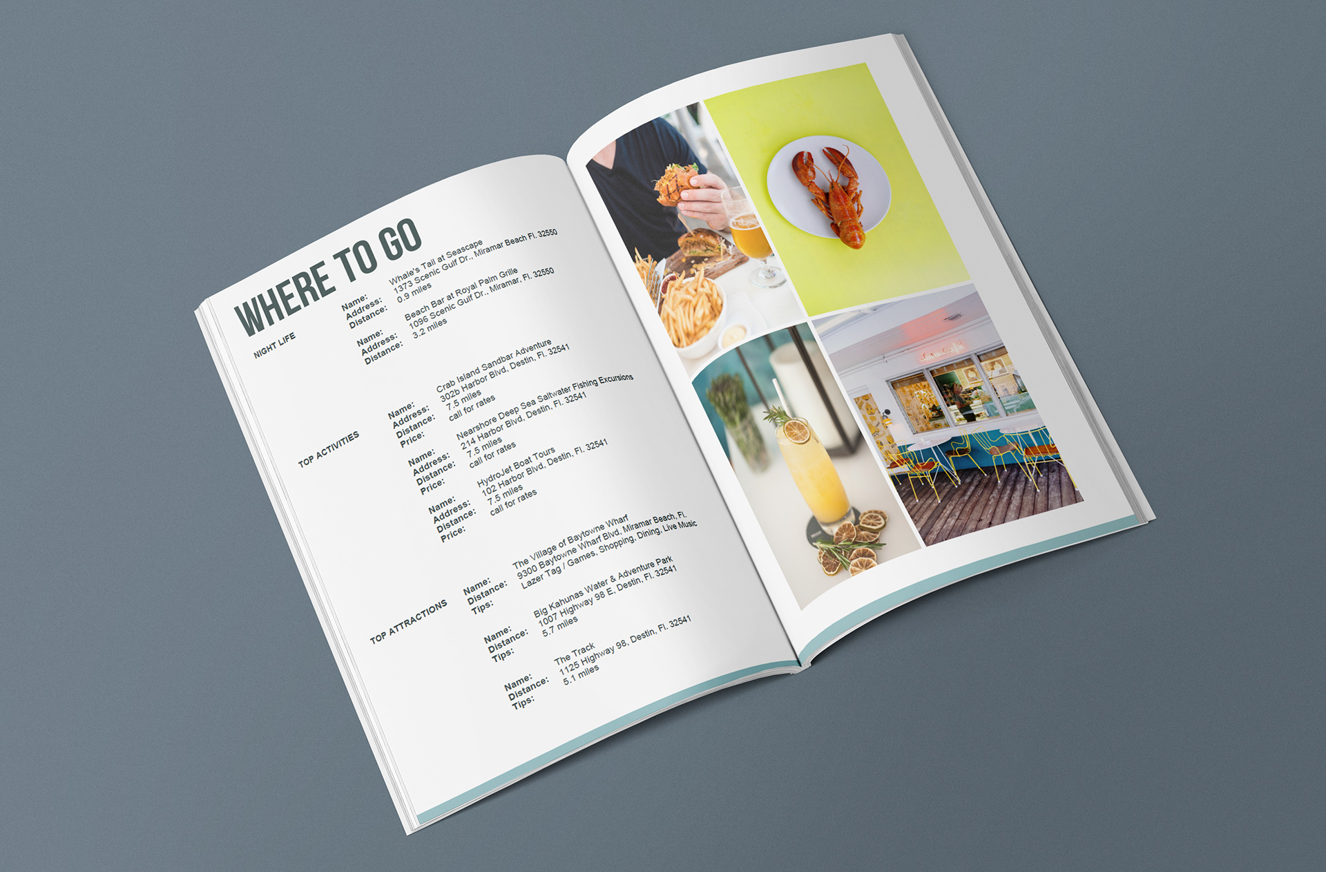 ECBV Magazine