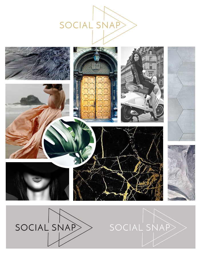 Social Snap Style Guide