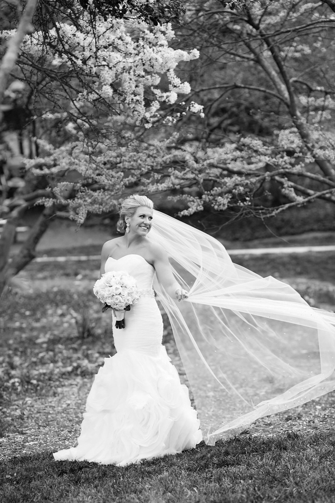 Mandy Paige Photography