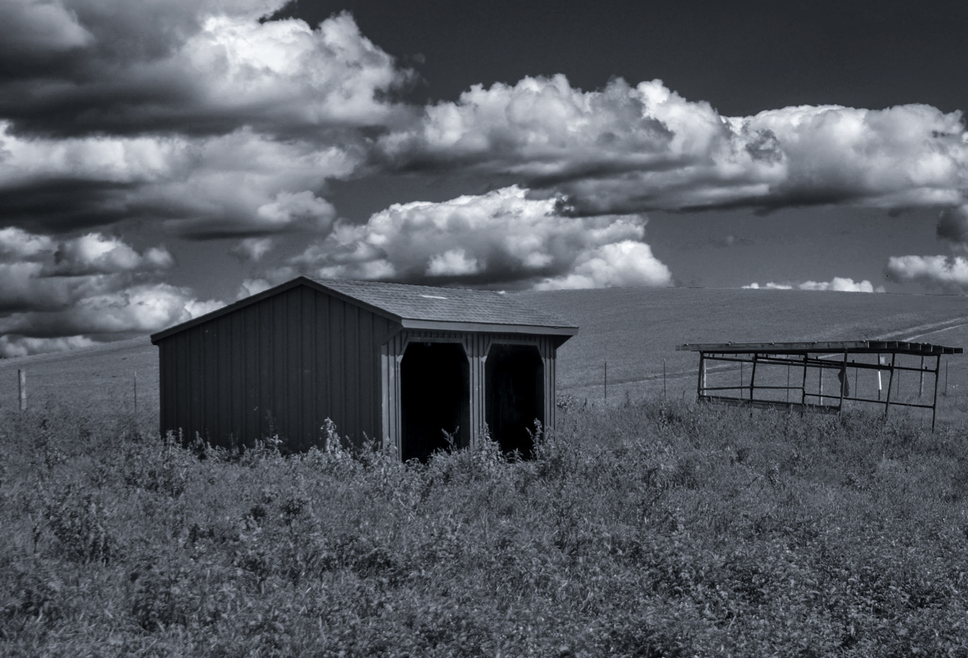 Horsebarn Hill, September 2020.