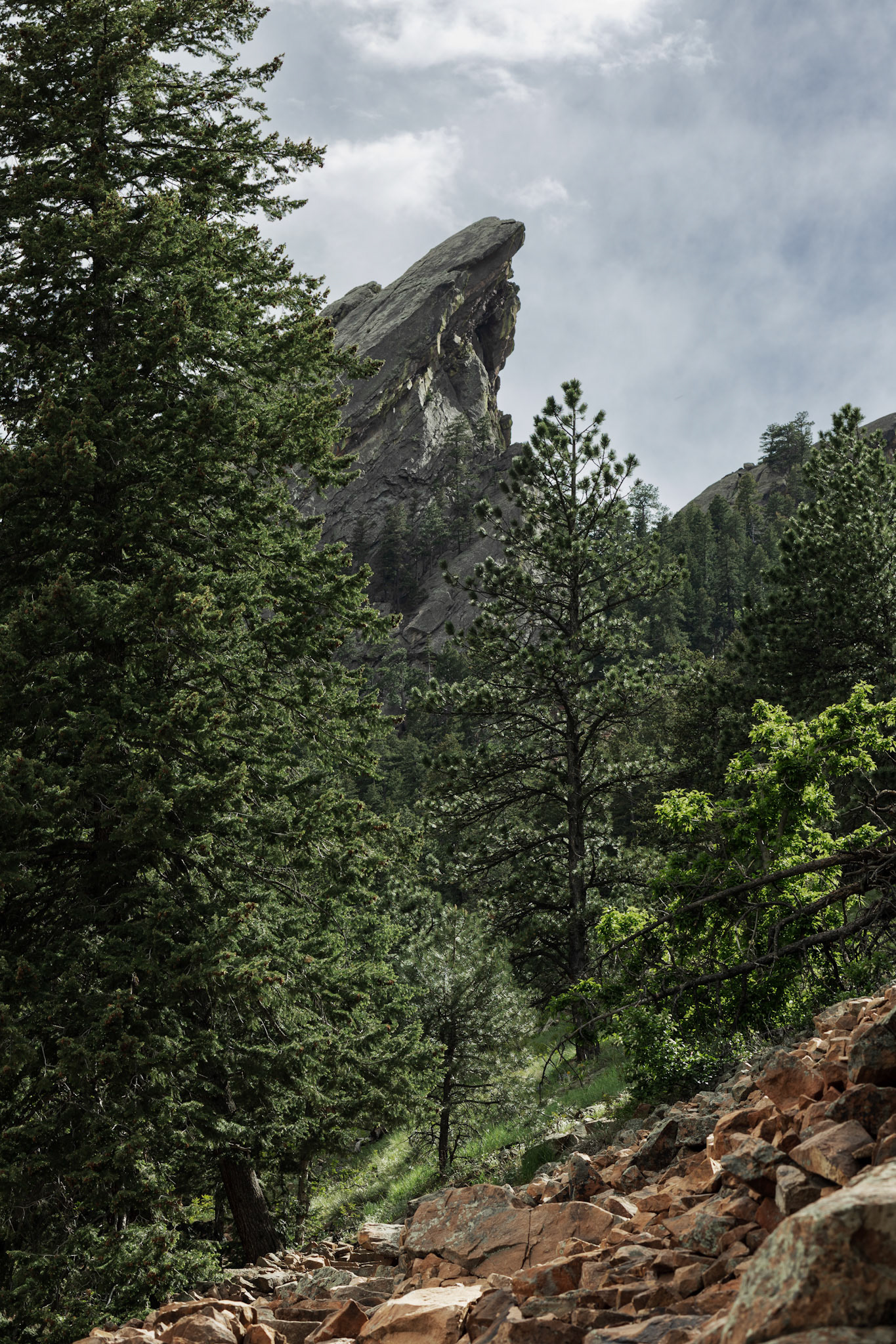 Chataqua Trail, May 2024
