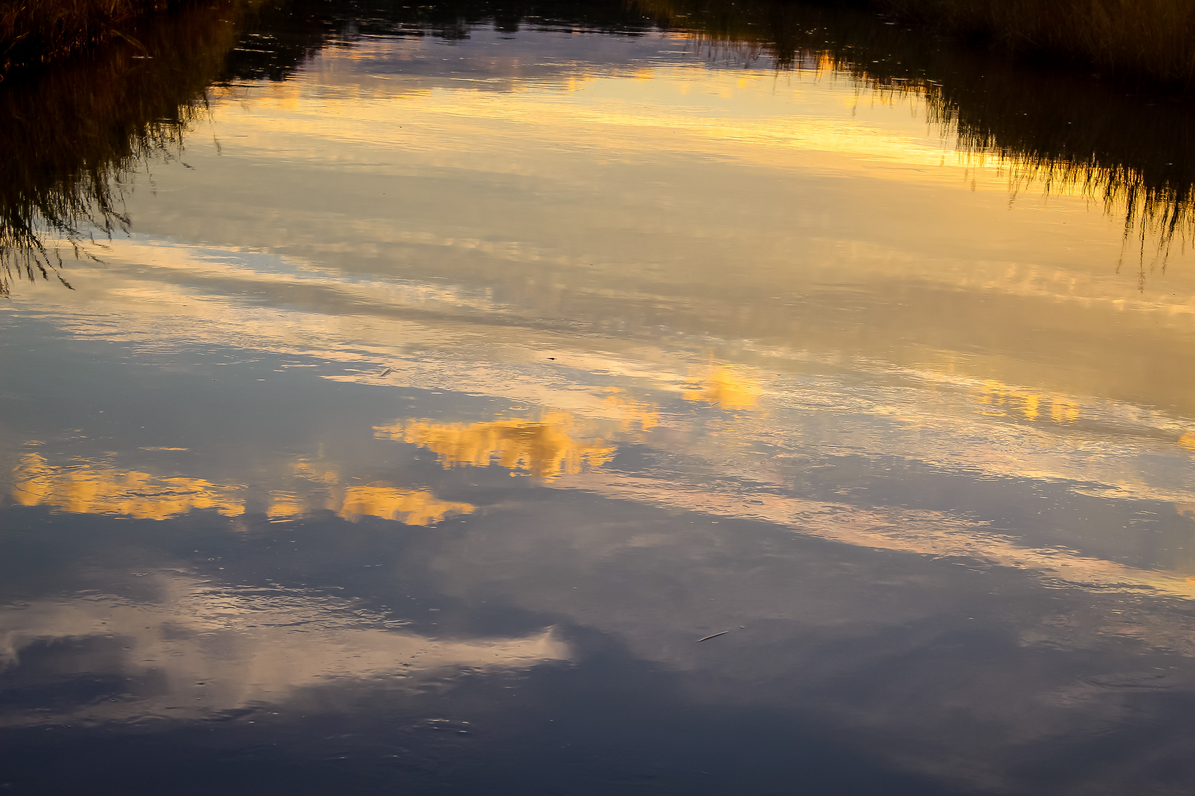 Reflections