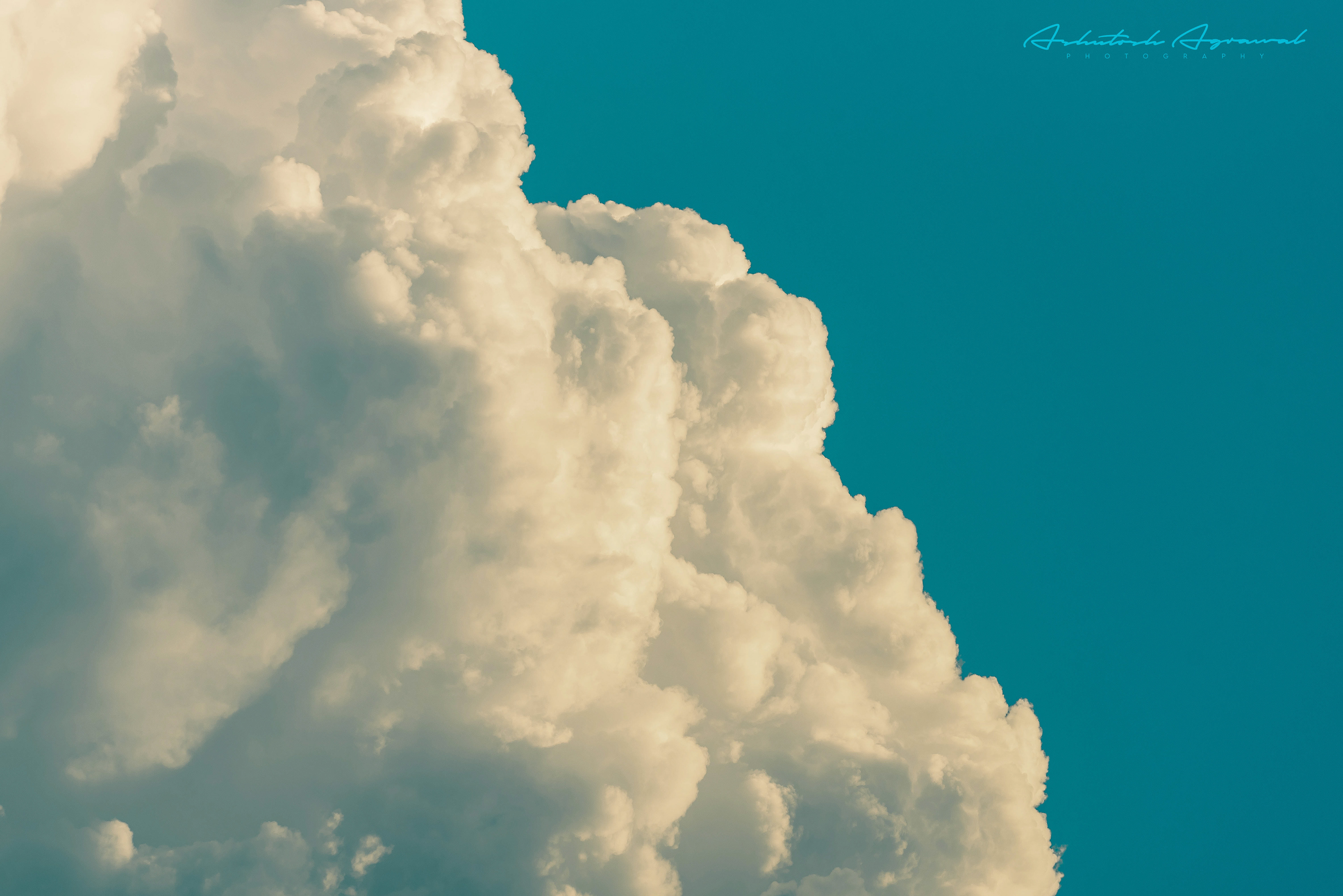 Cotton Candy