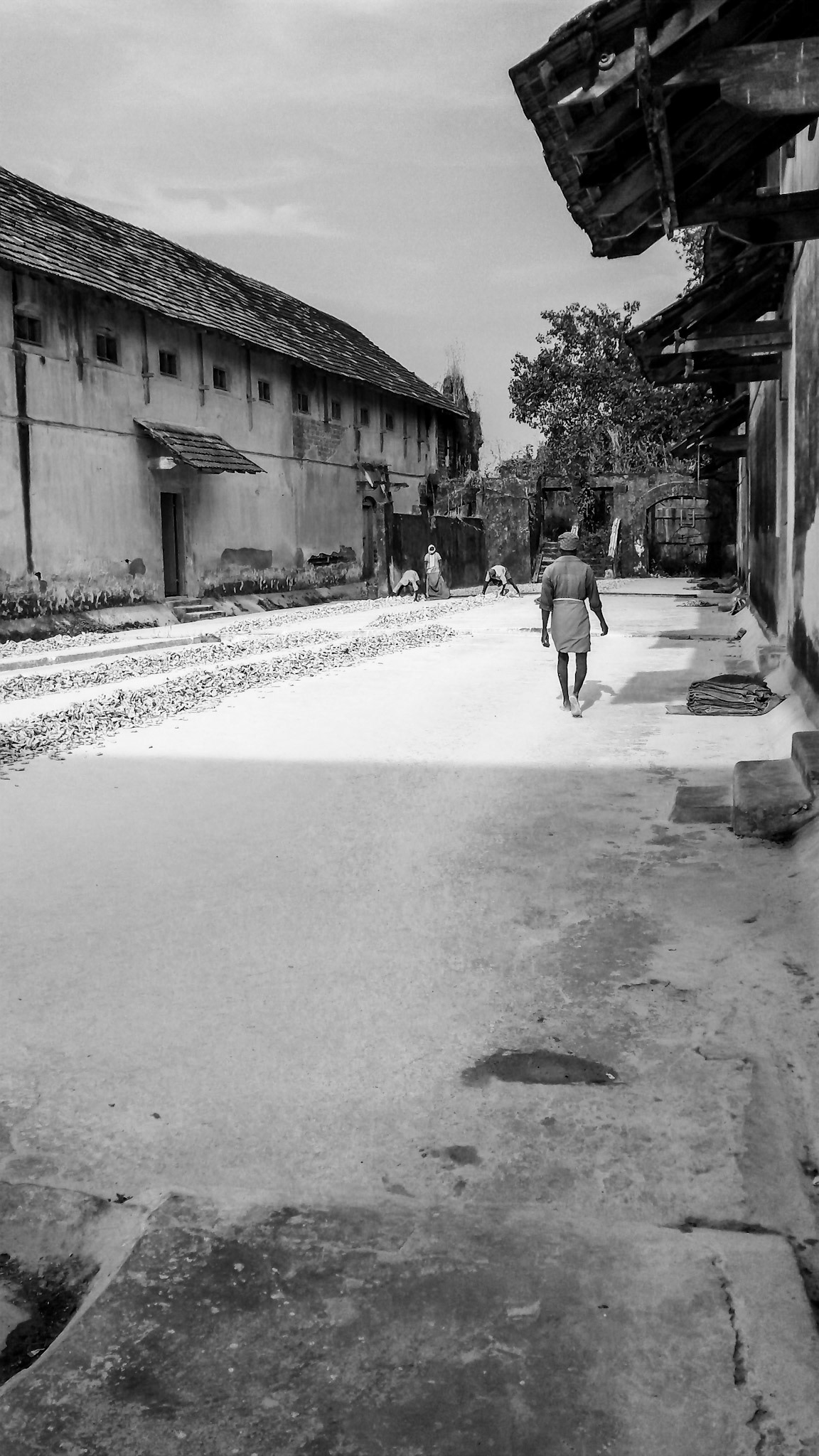 GINGER ROAD