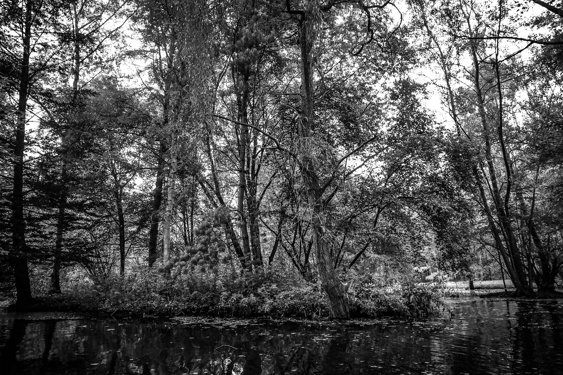 GUERLAIN GARDEN ST REMY L'ABBAYE