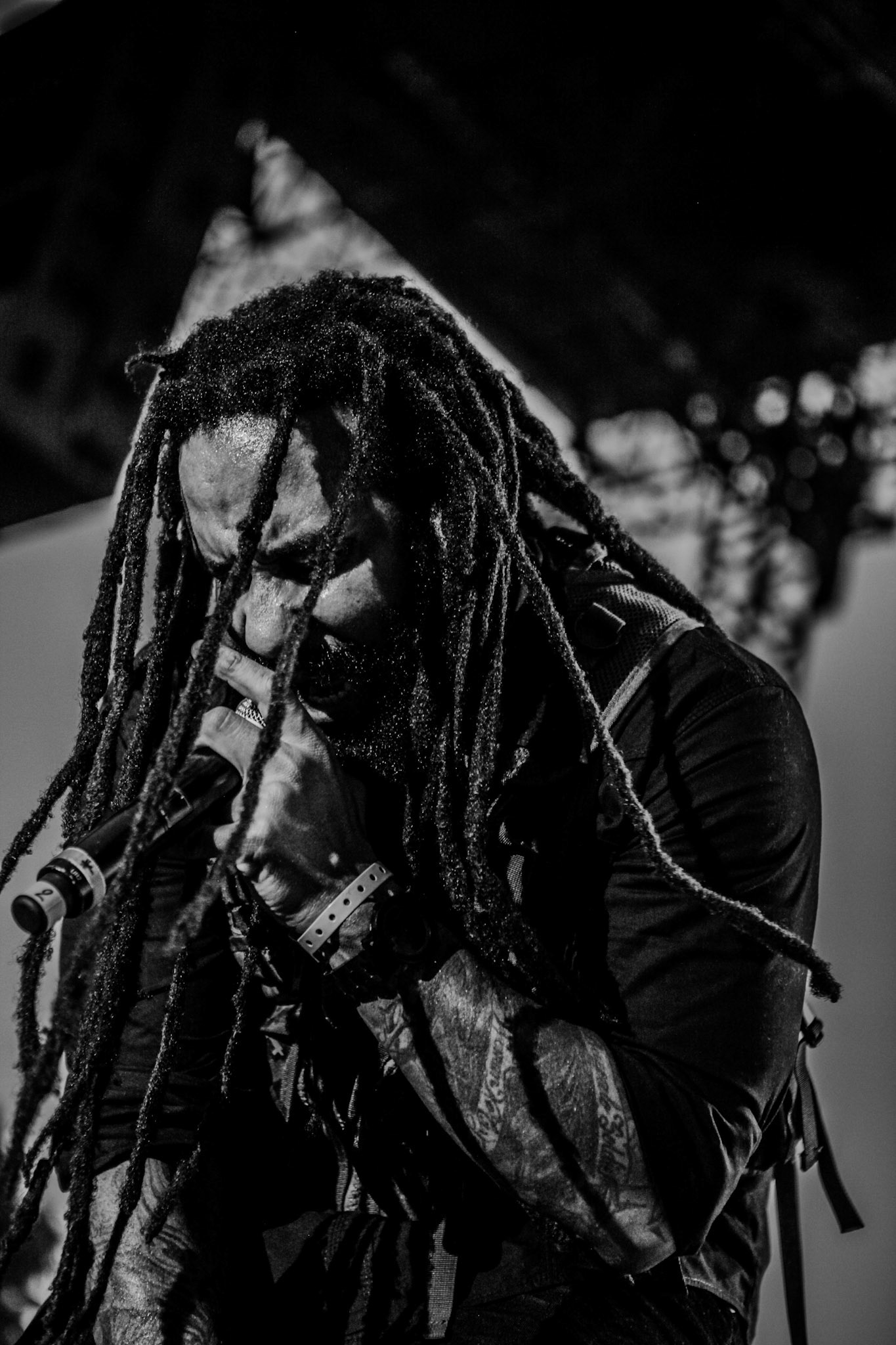 REGGAE FESTIVAL