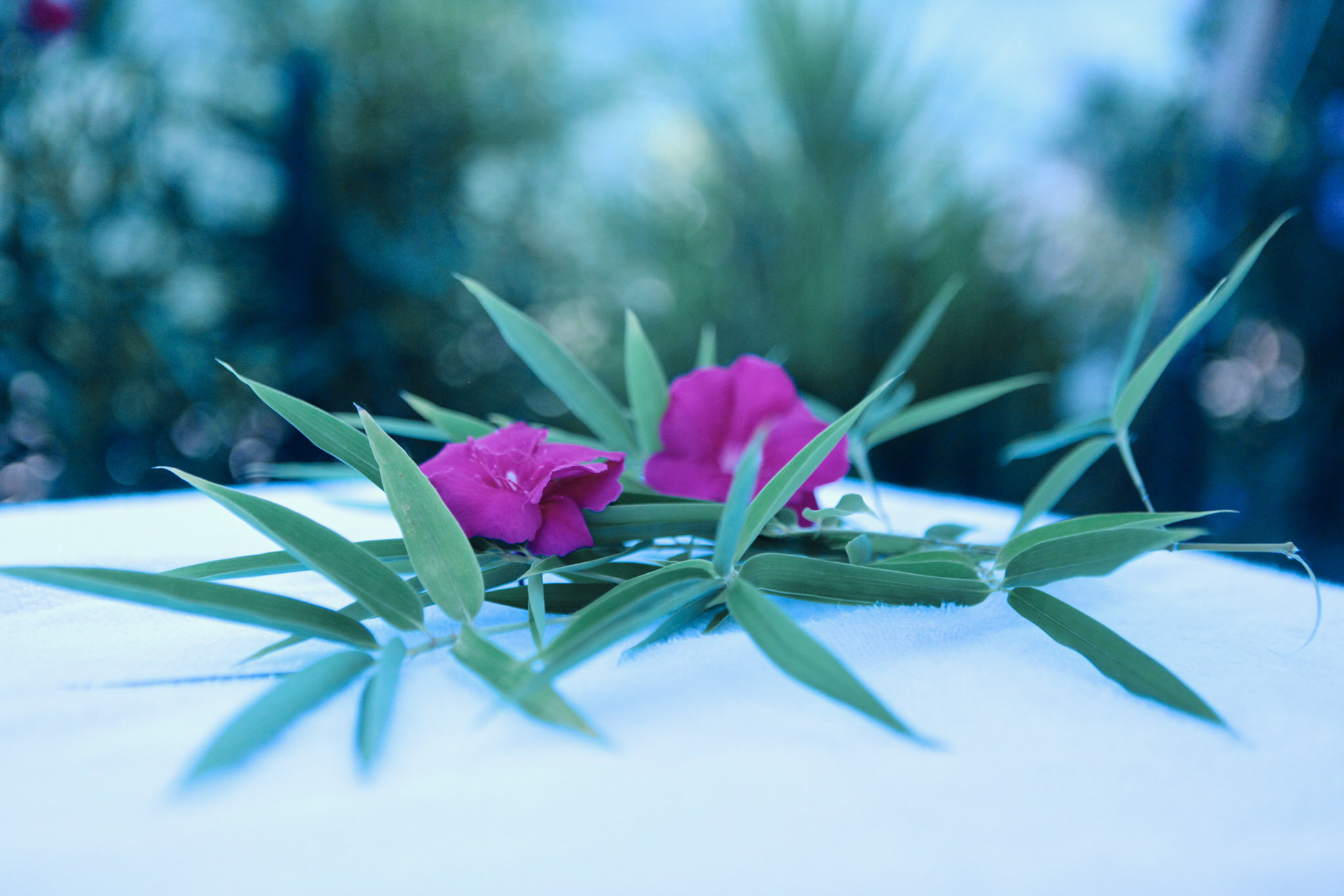 BYOTHEA SPA & BODY CARE
