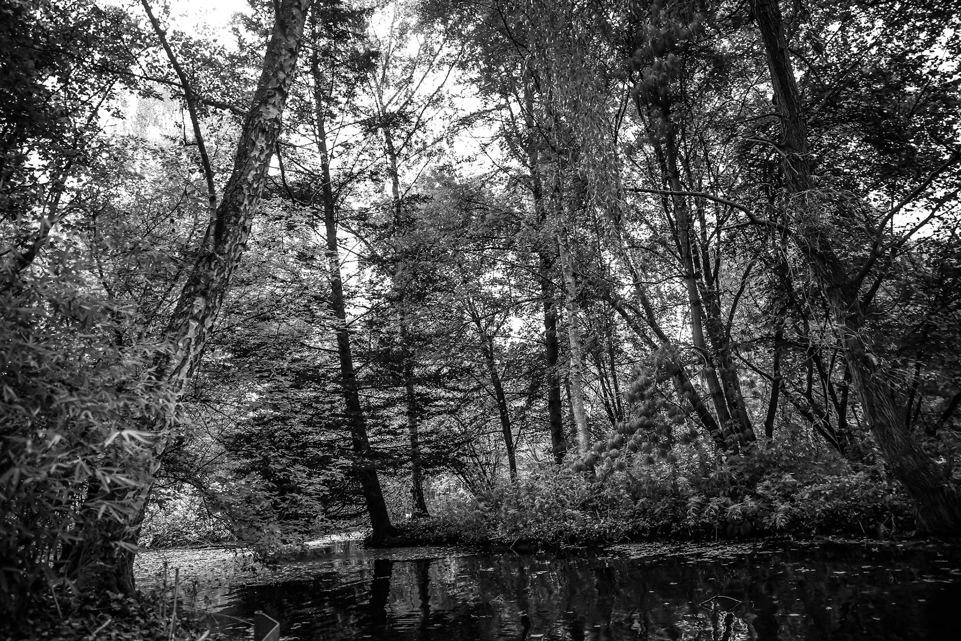 GUERLAIN GARDEN St REMY L'ABBAYE