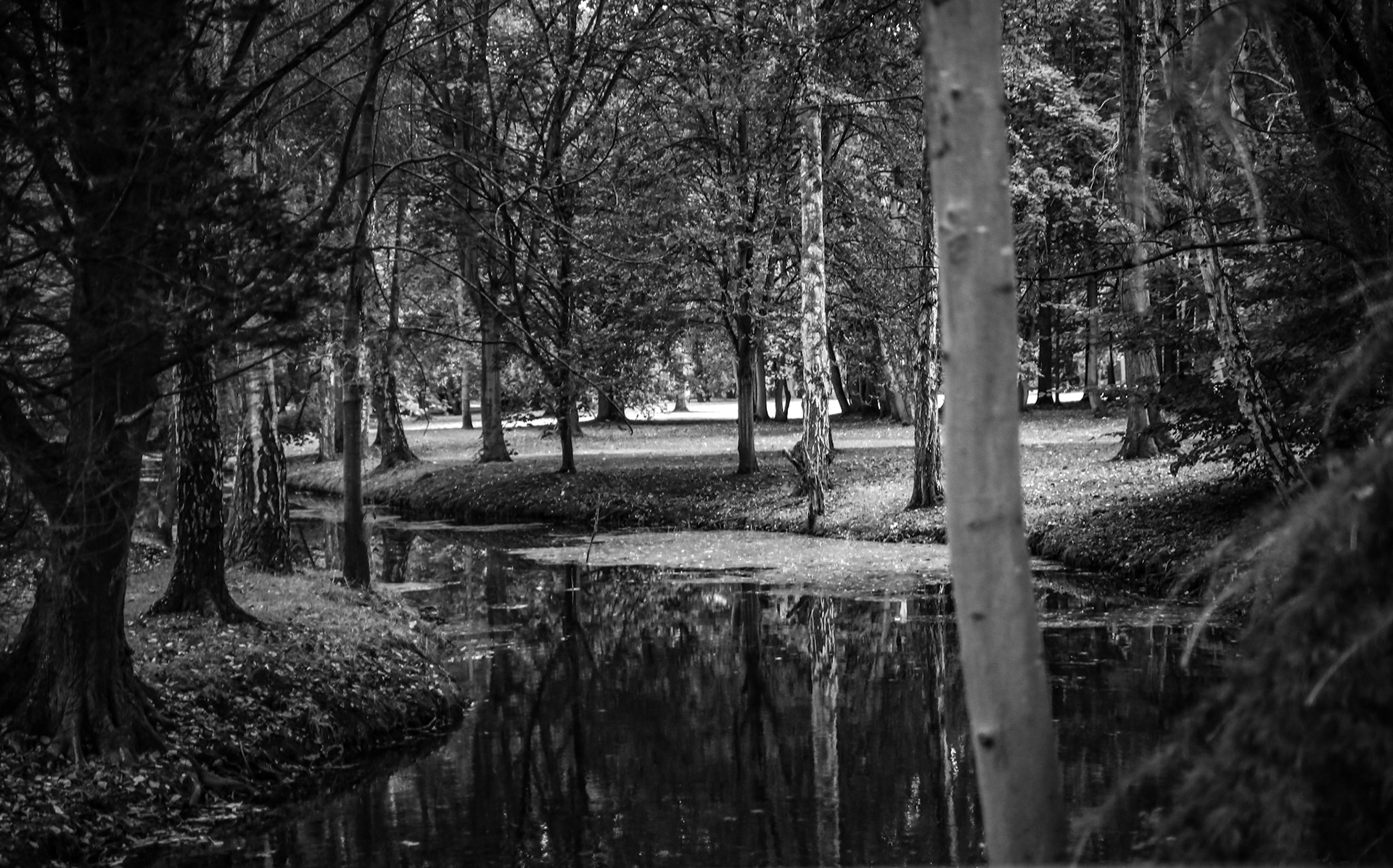 GUERLAIN  GARDEN  ST REMY L'ABBAYE