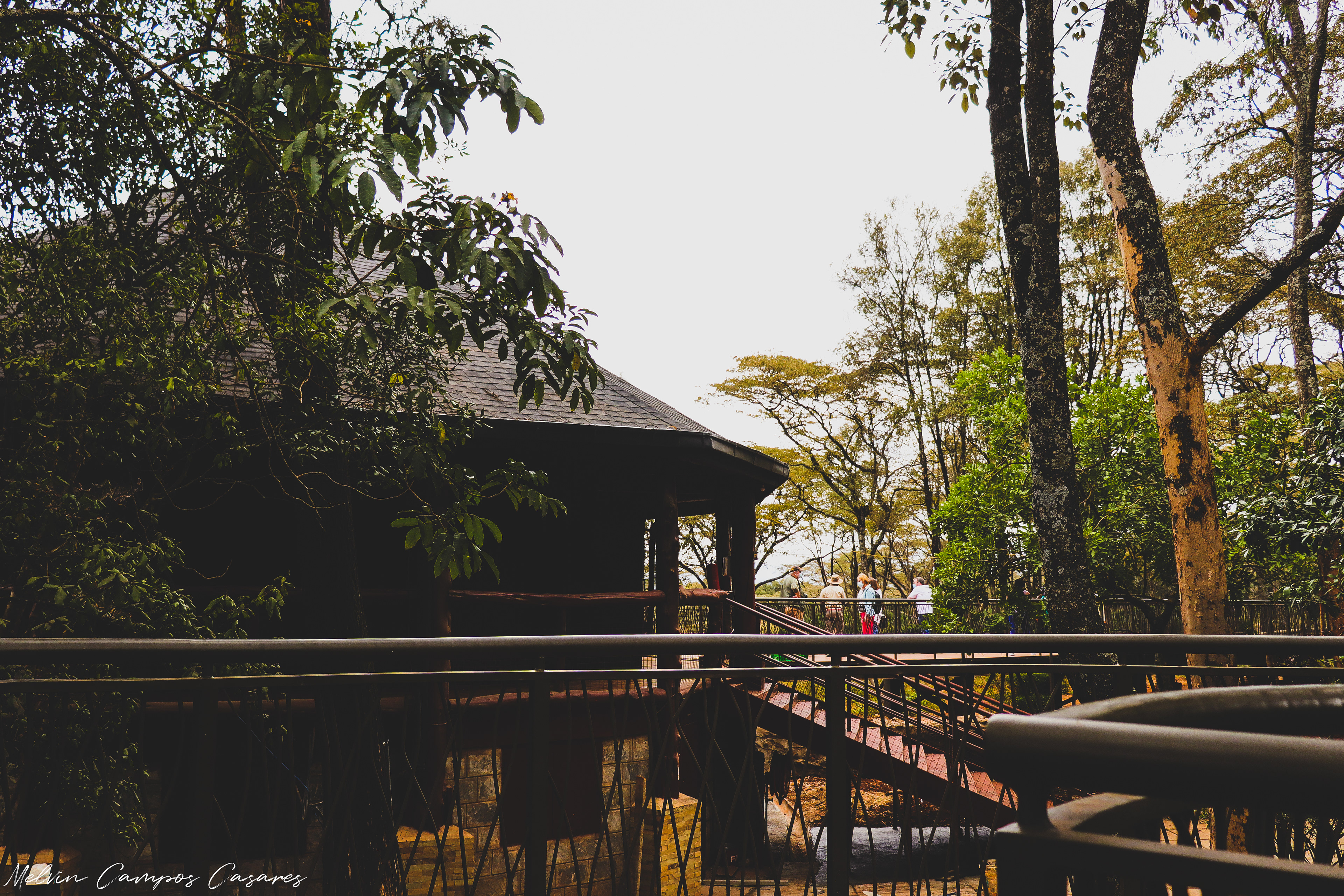 Giraffe Centre @ Nairobi