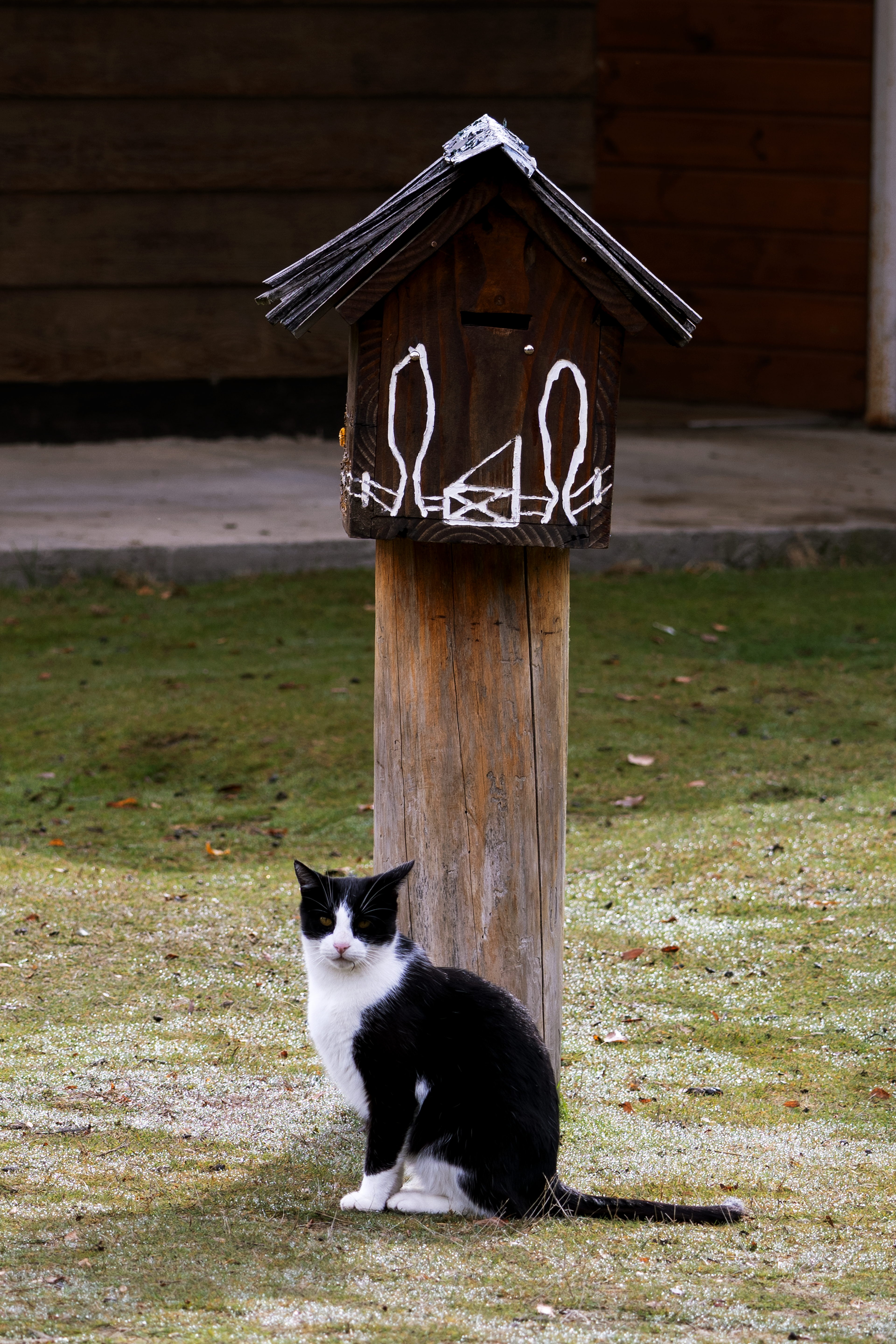 Vila Angustura, Neuquén AR