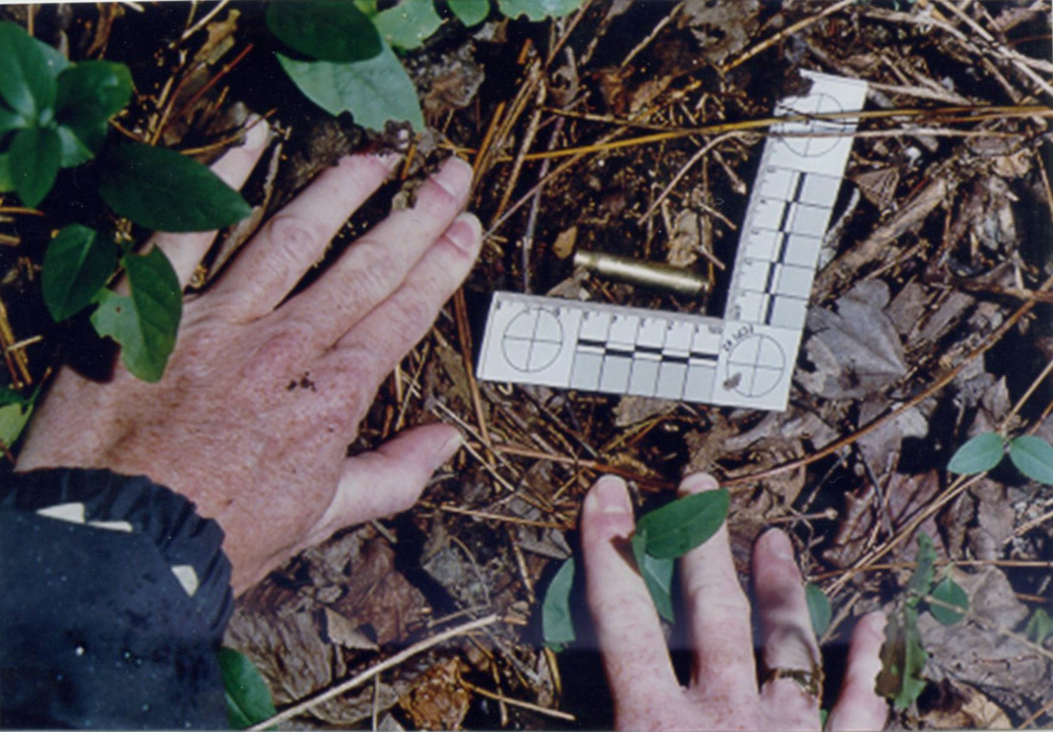 Bullet casing found in the woods near the crime scene.
