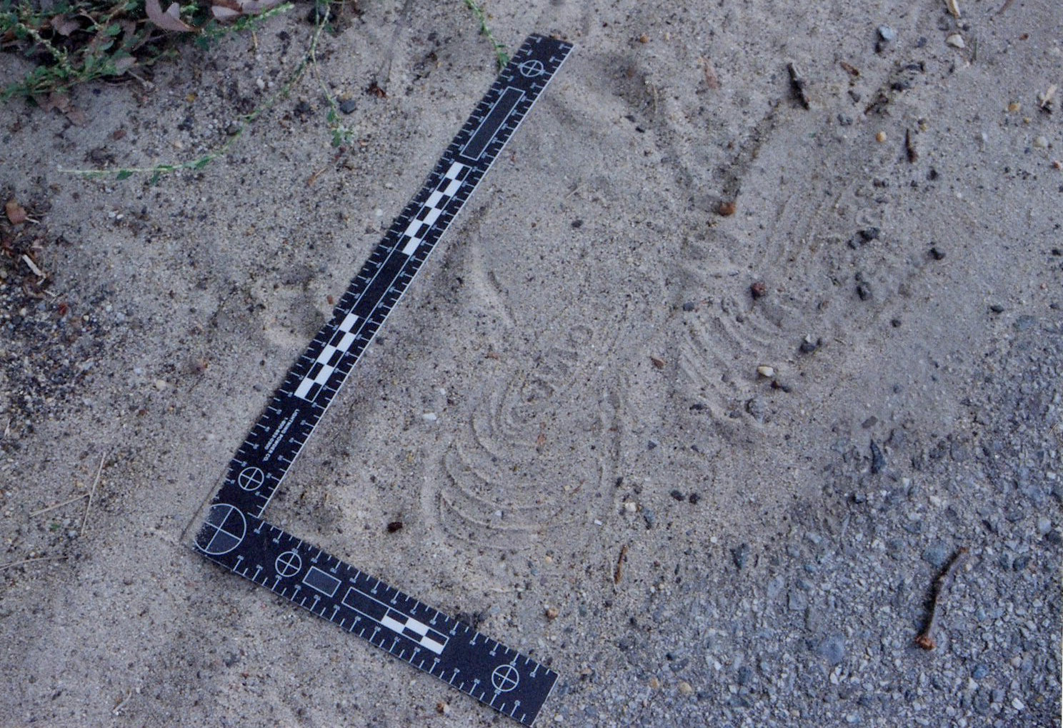 Shoe print found in the woods near the crime scene