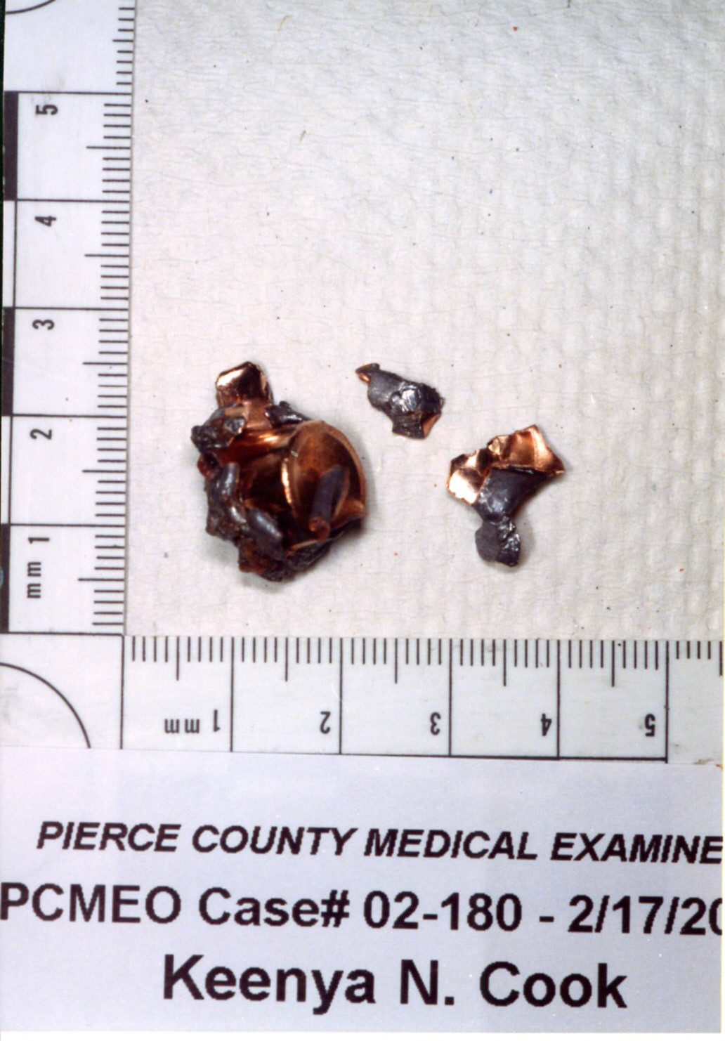 Bullet fragments recovered by the Pierce County Medical Examiner's Office.