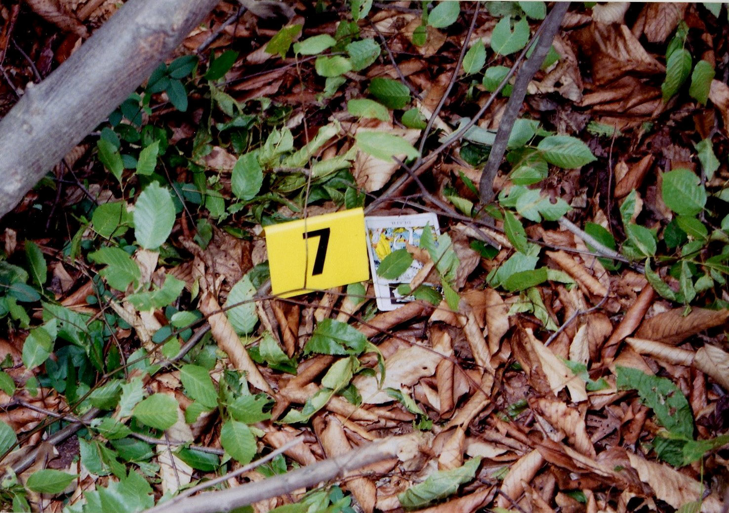 Tarot card with message written on it found in the woods near the crime scene.