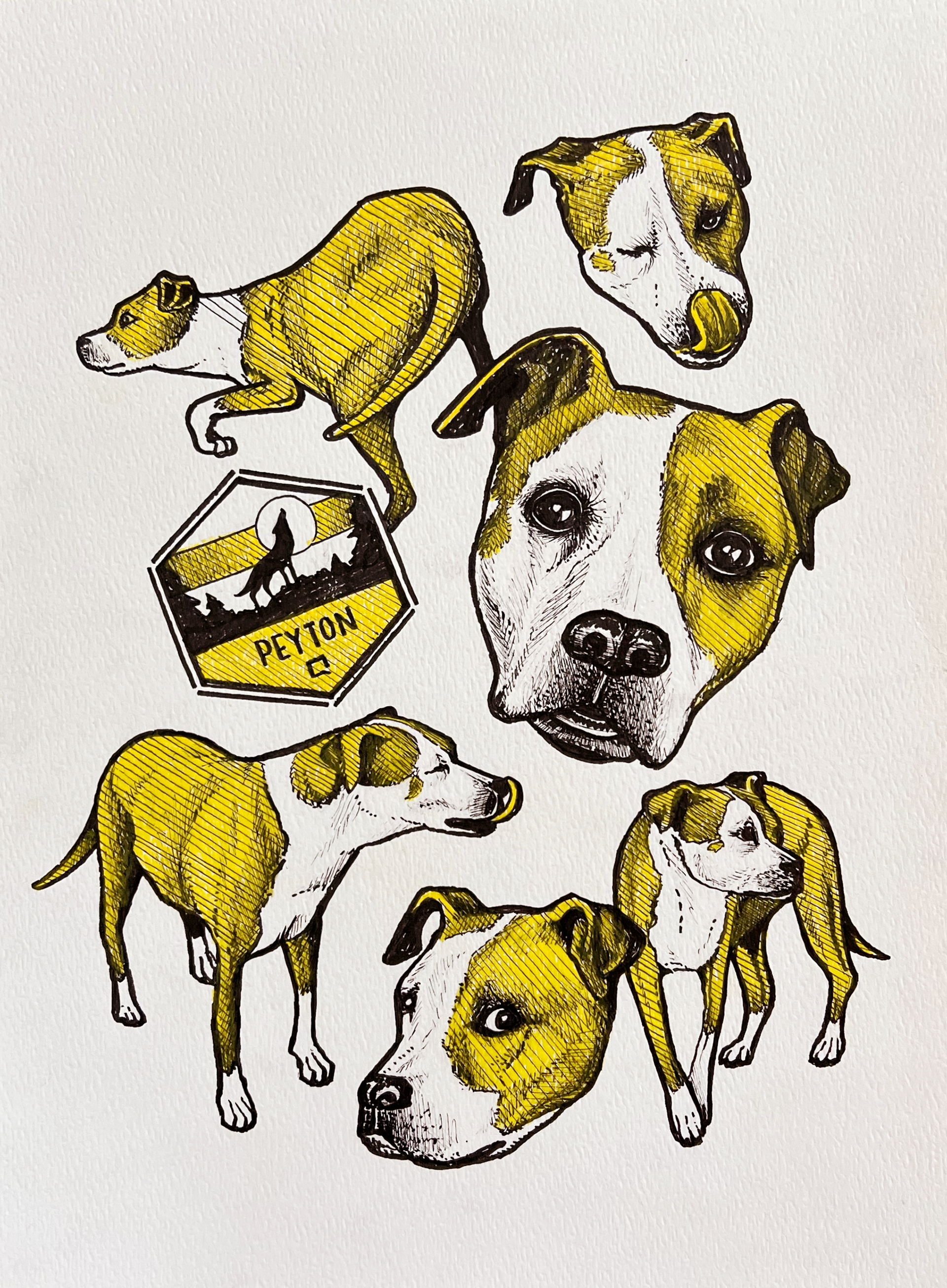 Pen and Colored Pencil, 2023