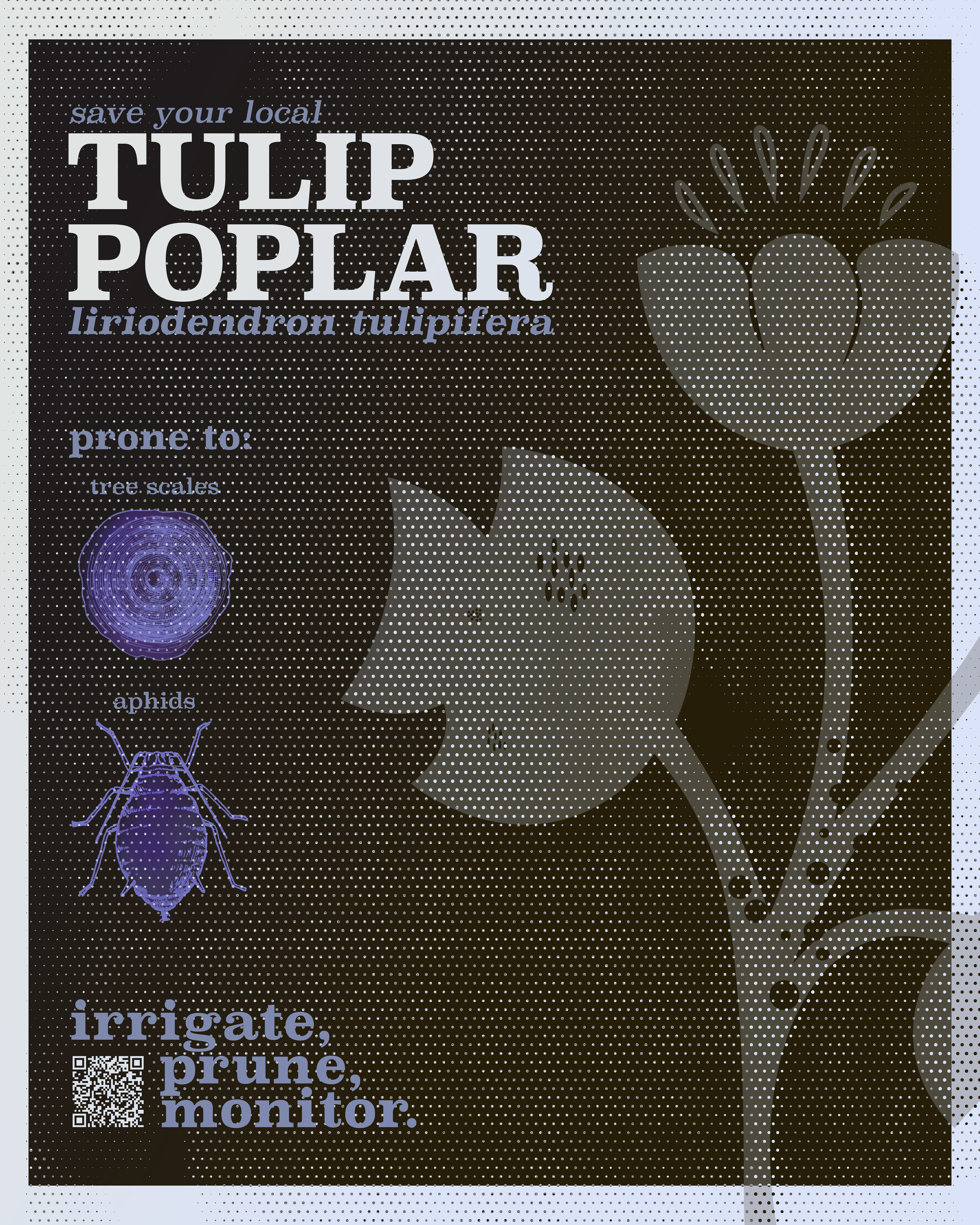A call to action poster about the common issues the Tulip Poplar tree faces