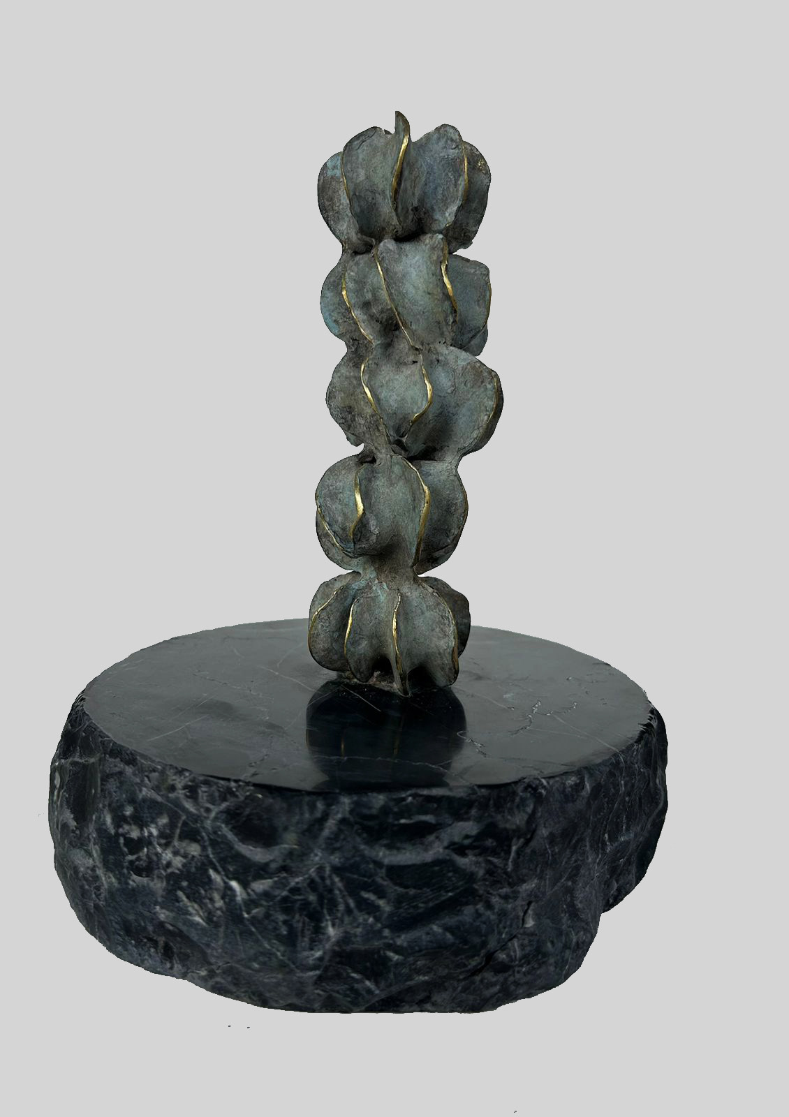 Desertica 3 Bronce 15 x 20 cm de diametro 2023