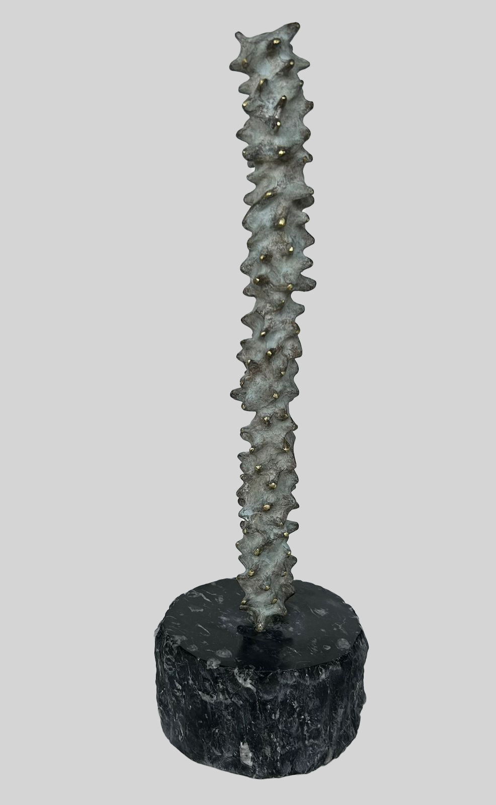 Desertica 7 Bronce 40 x 12 cm de diametro 2023