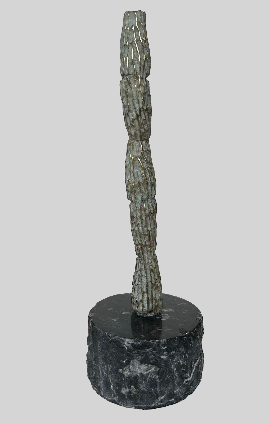 Desertica 5 Bronce 39 x 12 cm de diametro 2023
