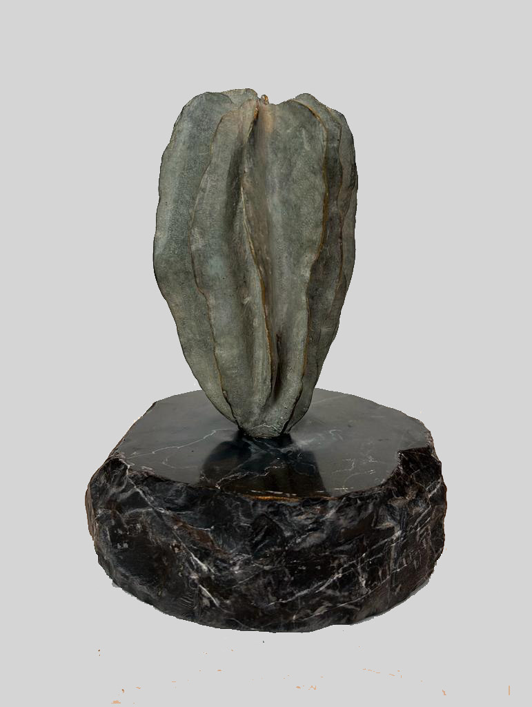 Desertica 4 Bronce 15 x 20 cm de diametro 2023