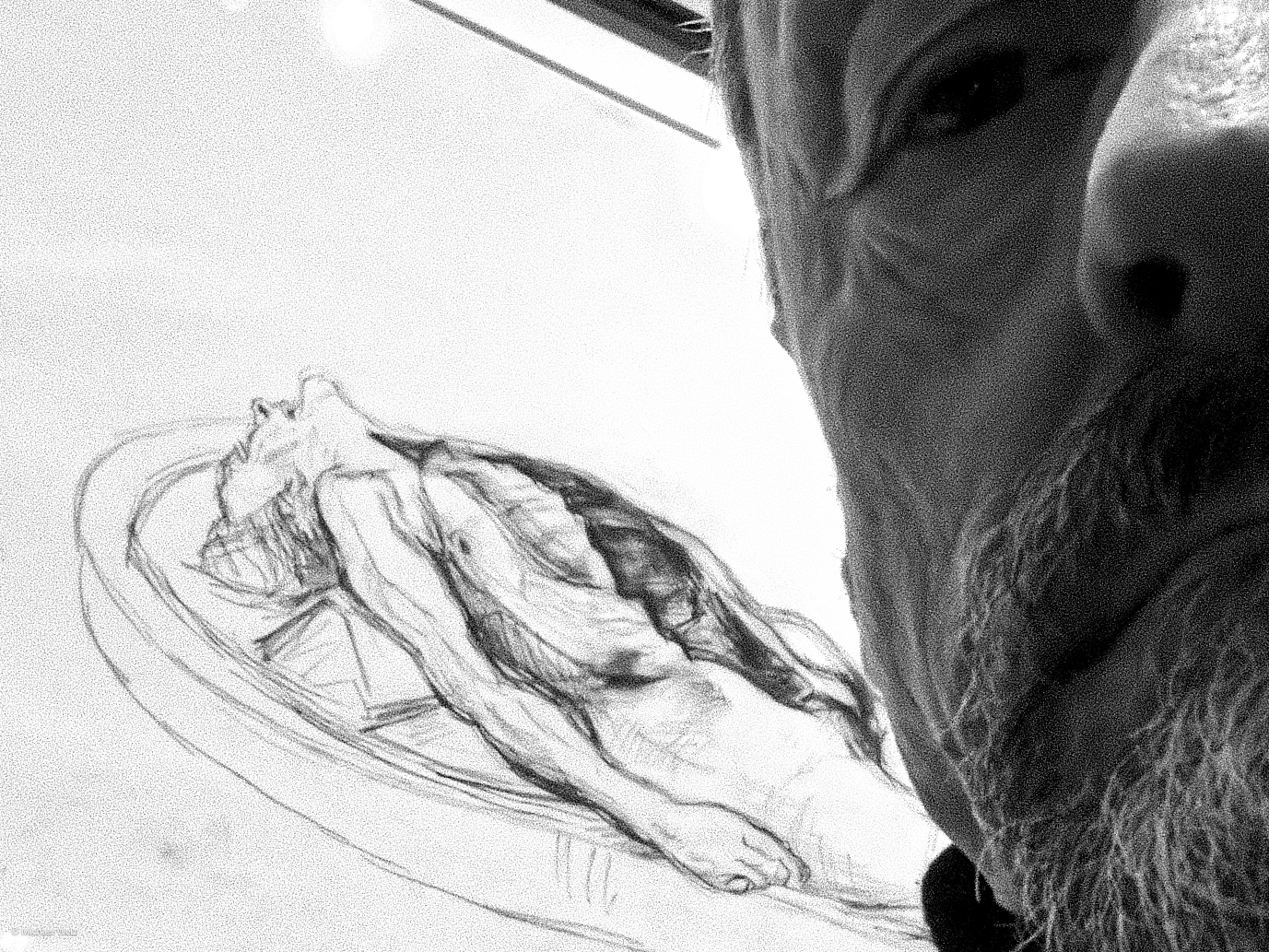 old man, dead man (charcoal drawing)