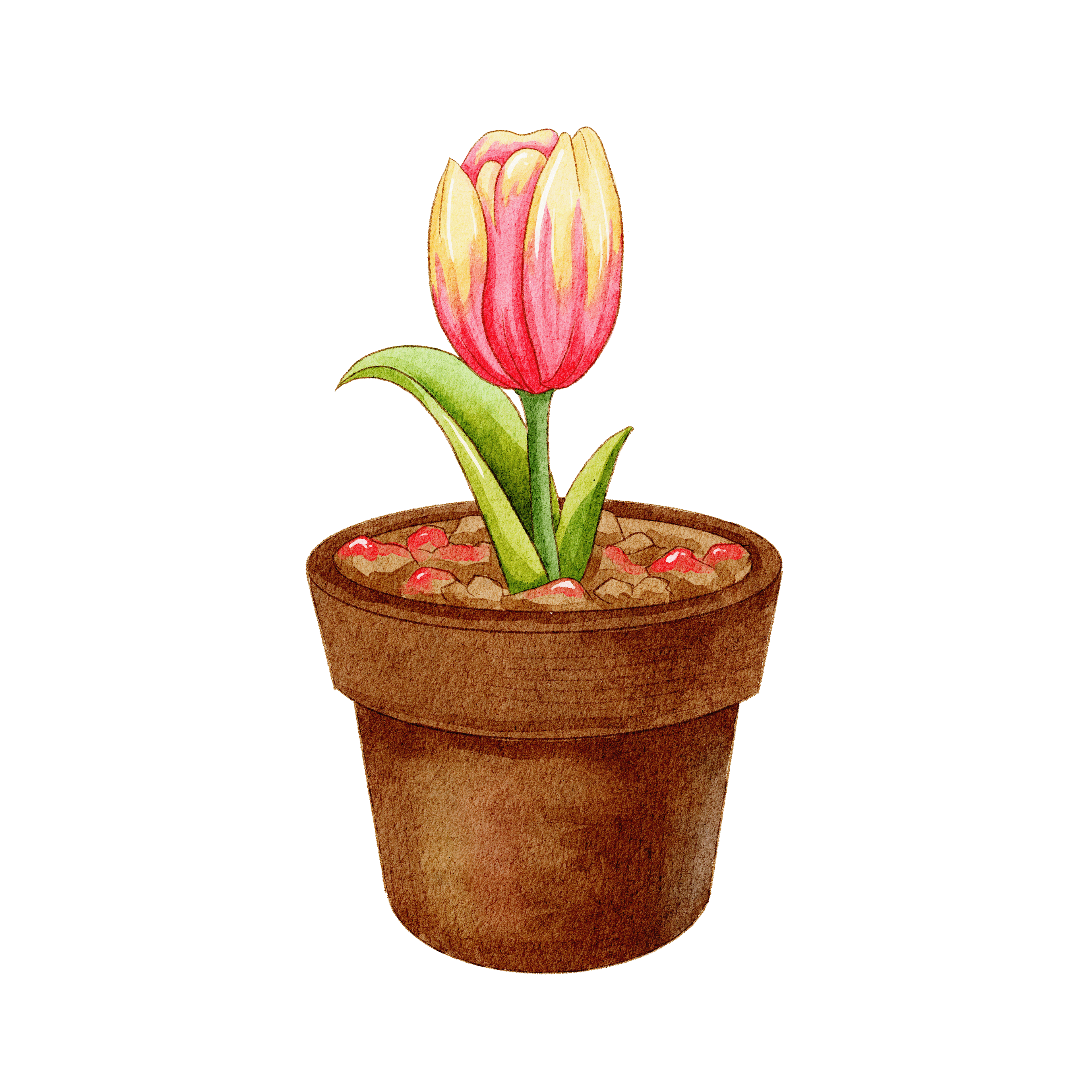 Sweet Flowerpot