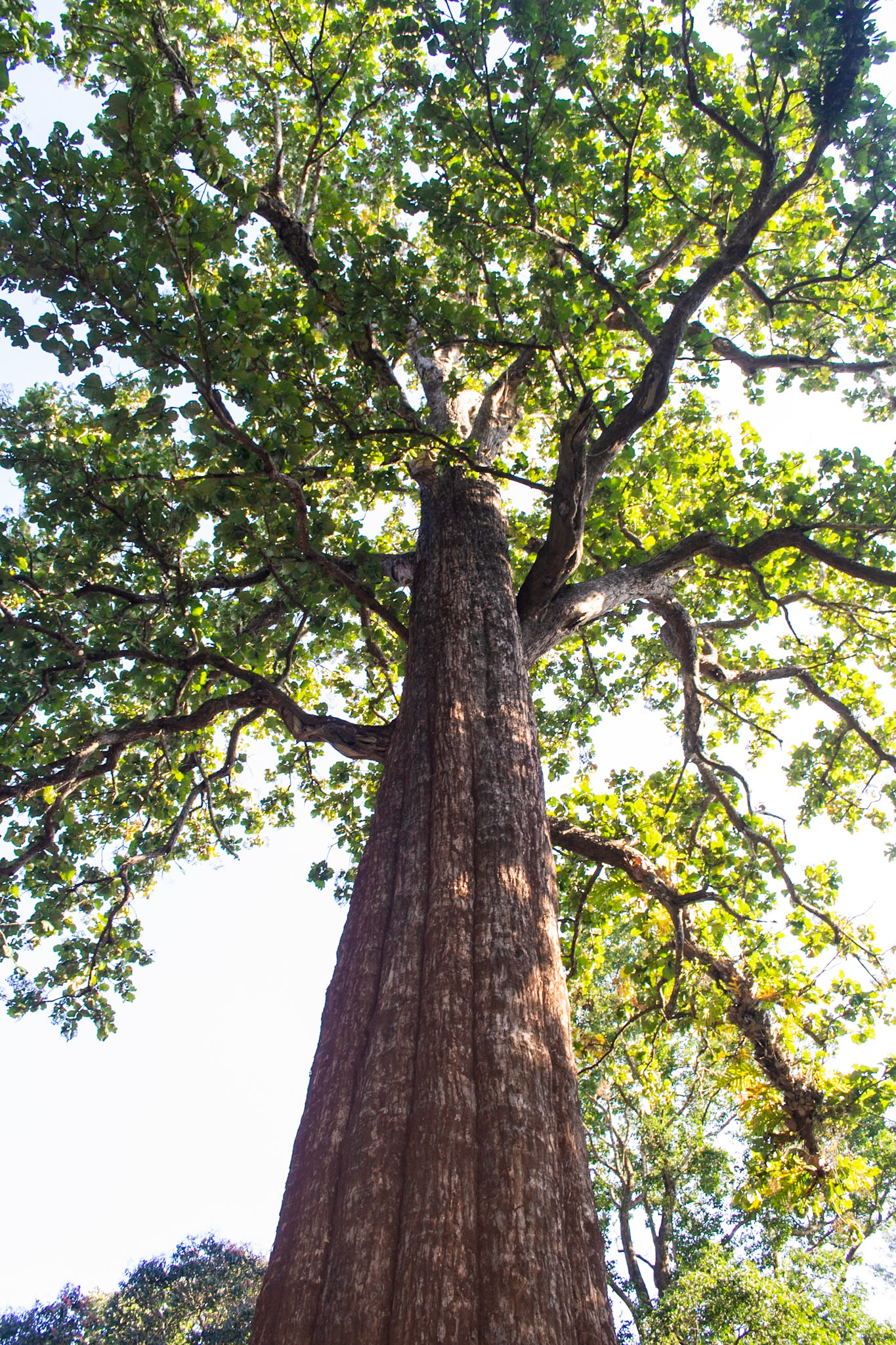 Beautiful Wildlife Reserve in Kerala with diversity in flora and fauna