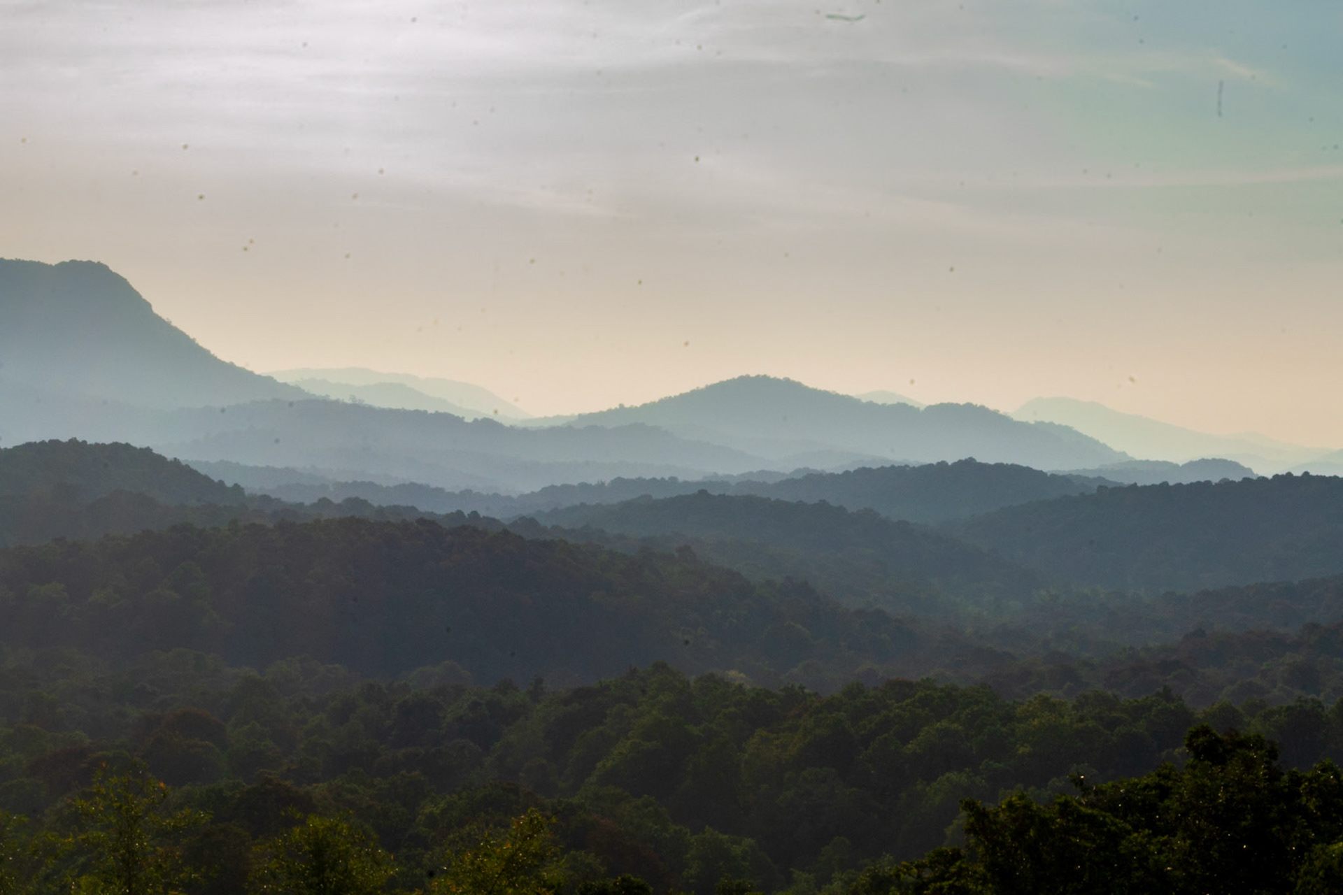 Beautiful Wildlife Reserve in Kerala with diversity in flora and fauna