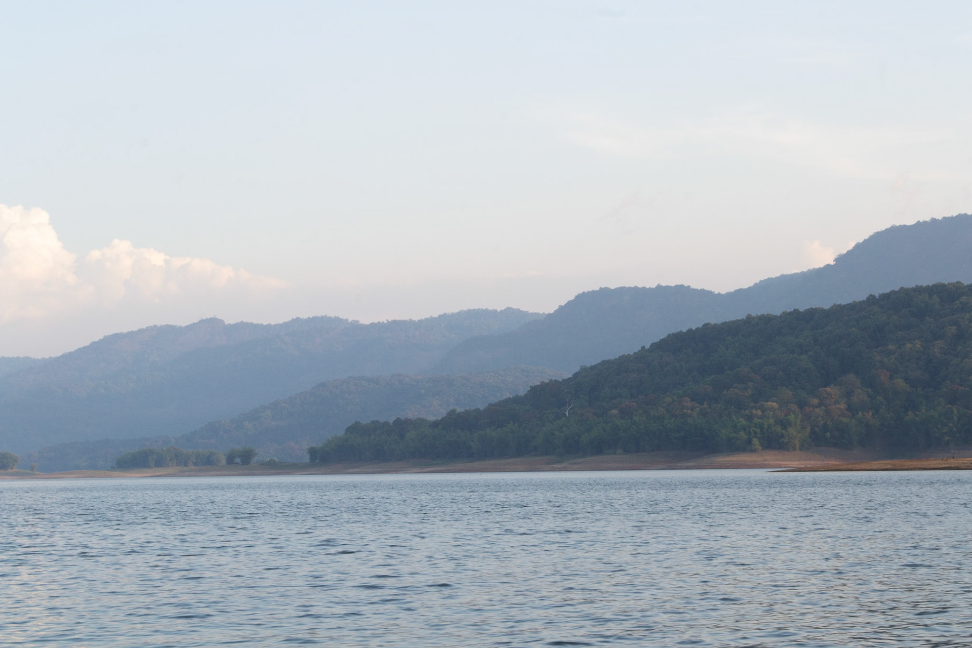 Beautiful Wildlife Reserve in Kerala with diversity in flora and fauna