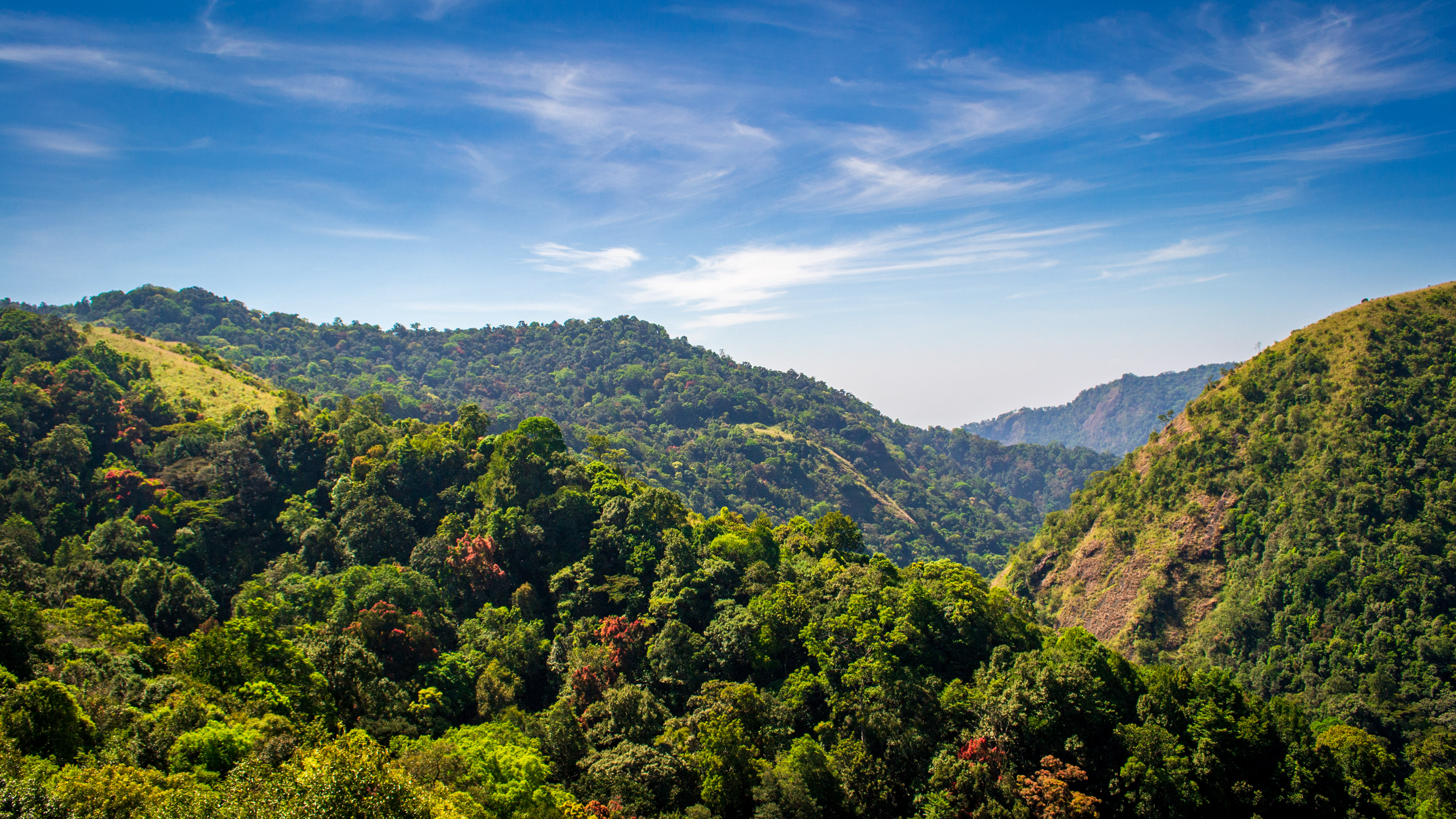 Lovely Sights of India