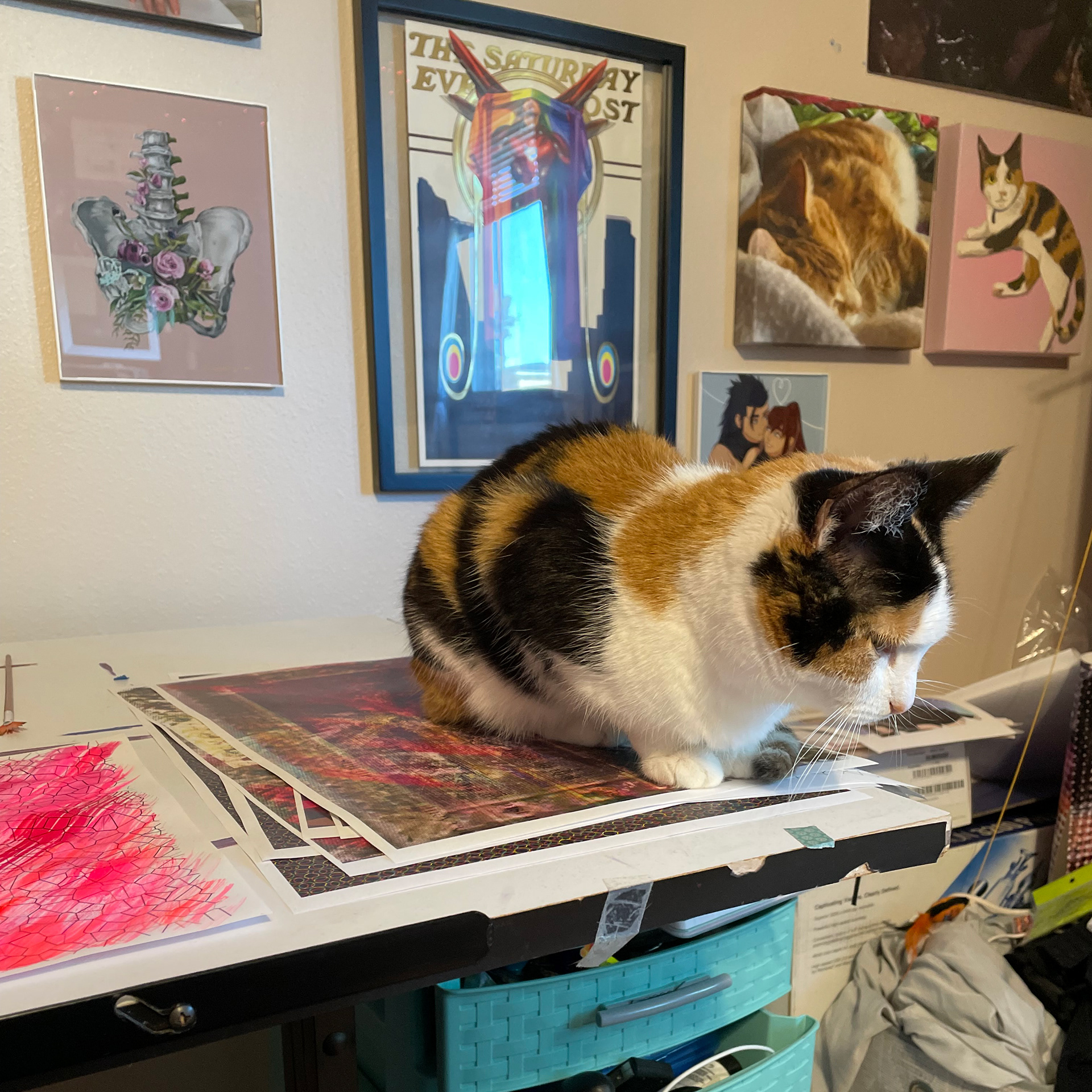 Behind the scenes look at the beginning of the process. Featuring my helper.