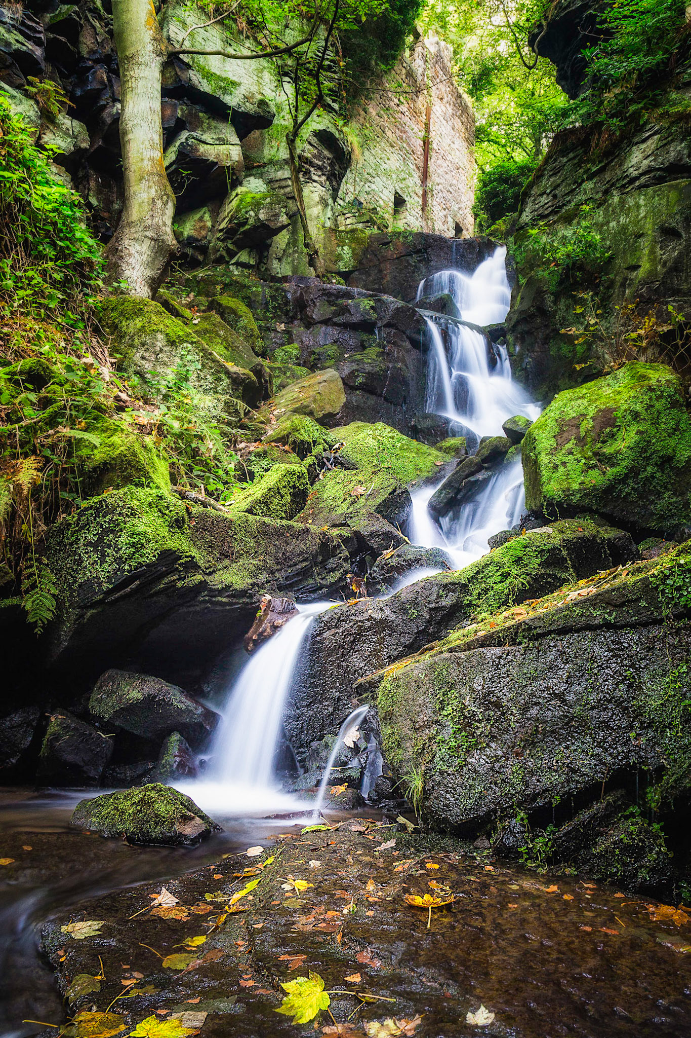 Lumsdale Falls