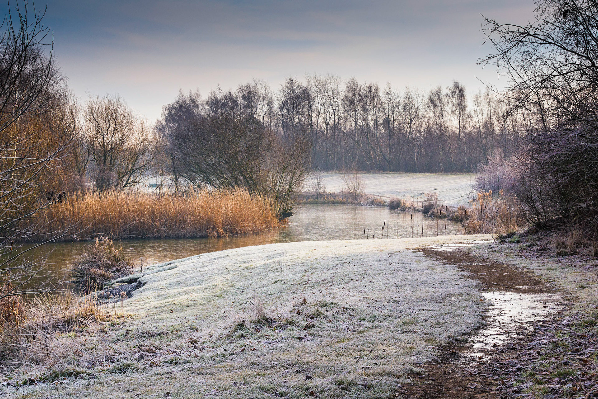 Darfield Pit Pond, near Trans Pennine Trail