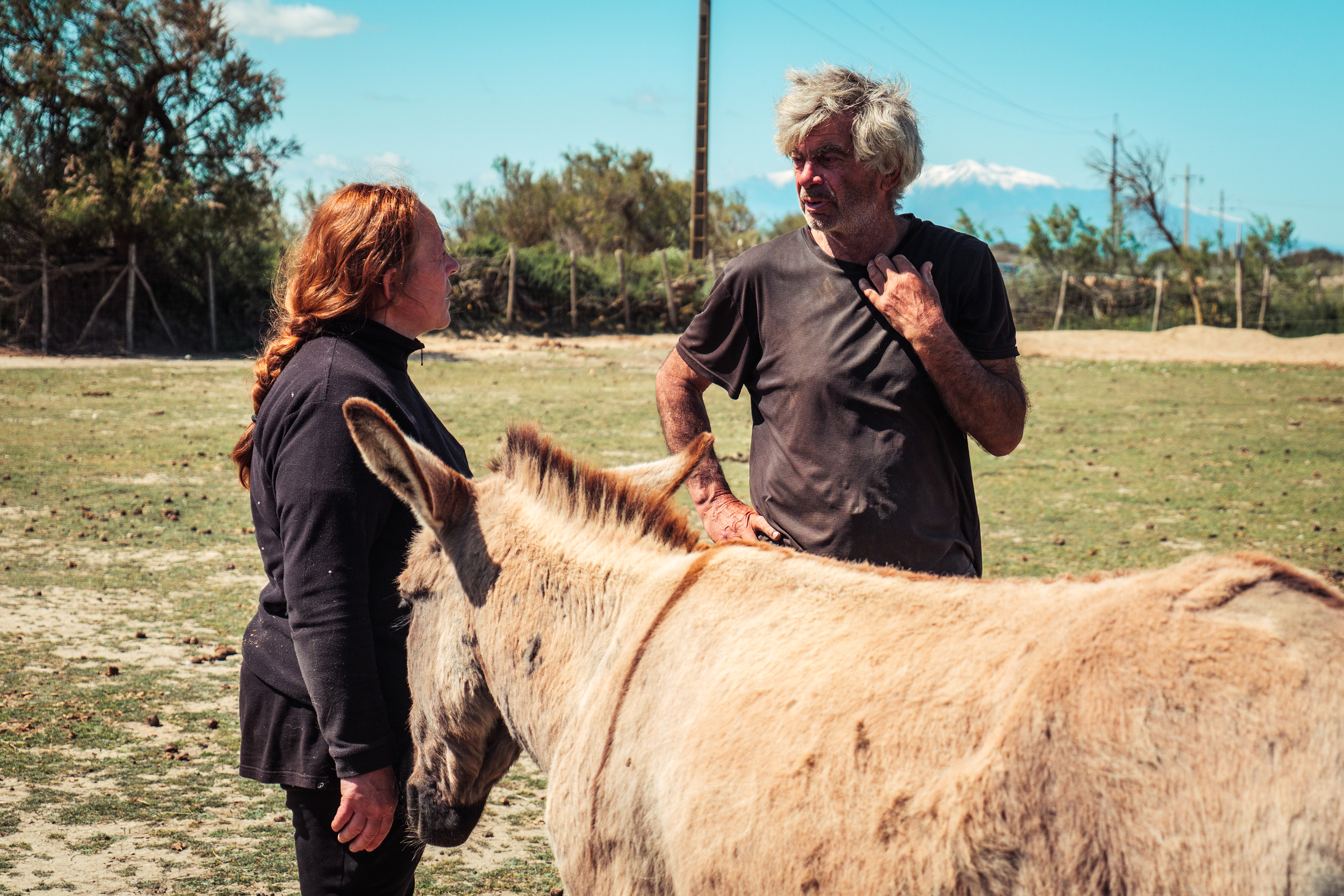 Maud discute avec Jean-Noël, propriétaire du refuge Torreilles Anes et Compagnie à Torreilles, dans le département des Pyrénées-Orientales, dans le sud de la France