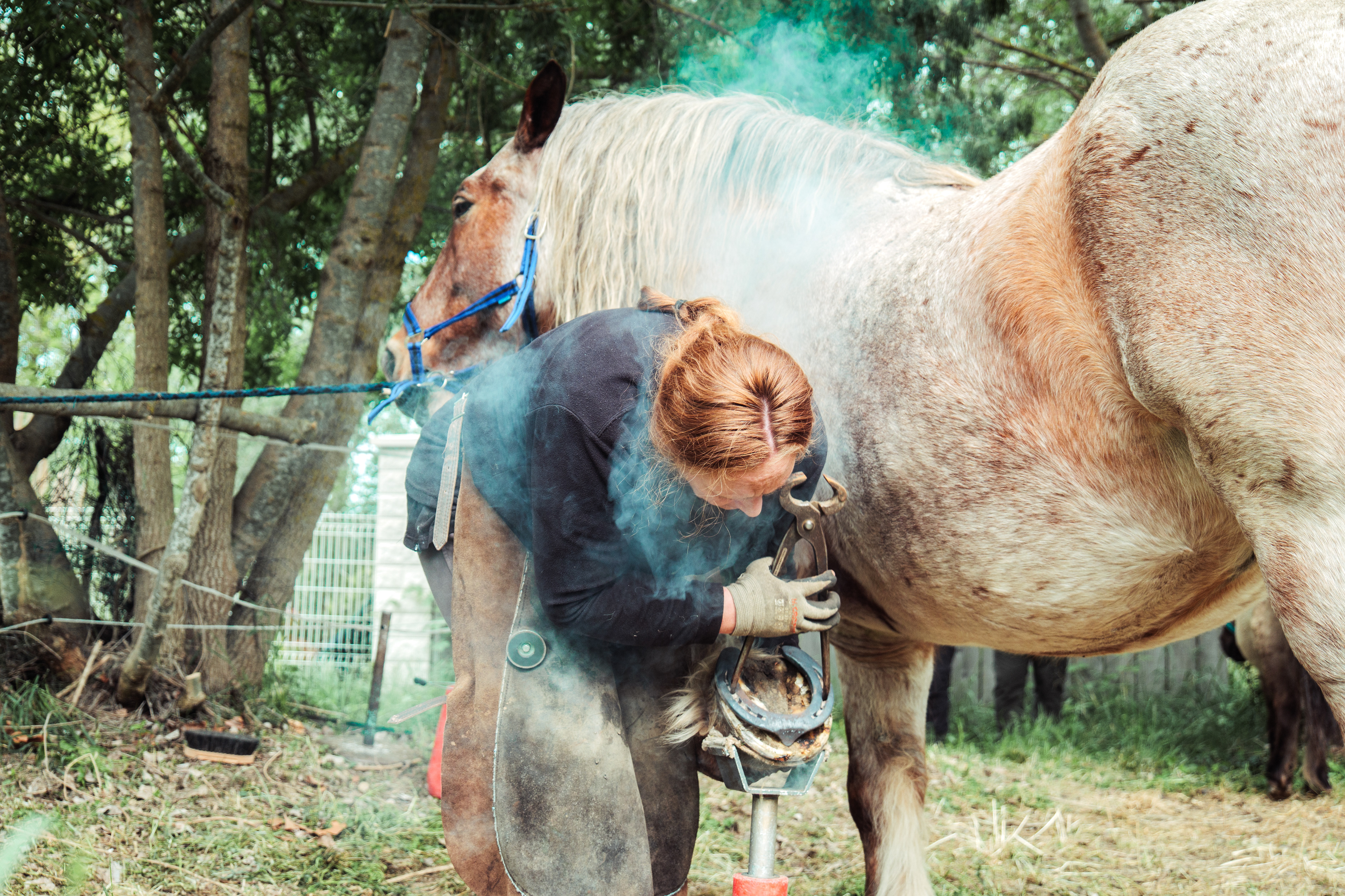 Après avoir fait chauffer le fer à cheval pour le rendre travaillable, Maude appose le fer chaud sur le pied de son cheval. De la fumée se dégage. Cette opération est totalement indolore pour Rim, son cheval de trait breton