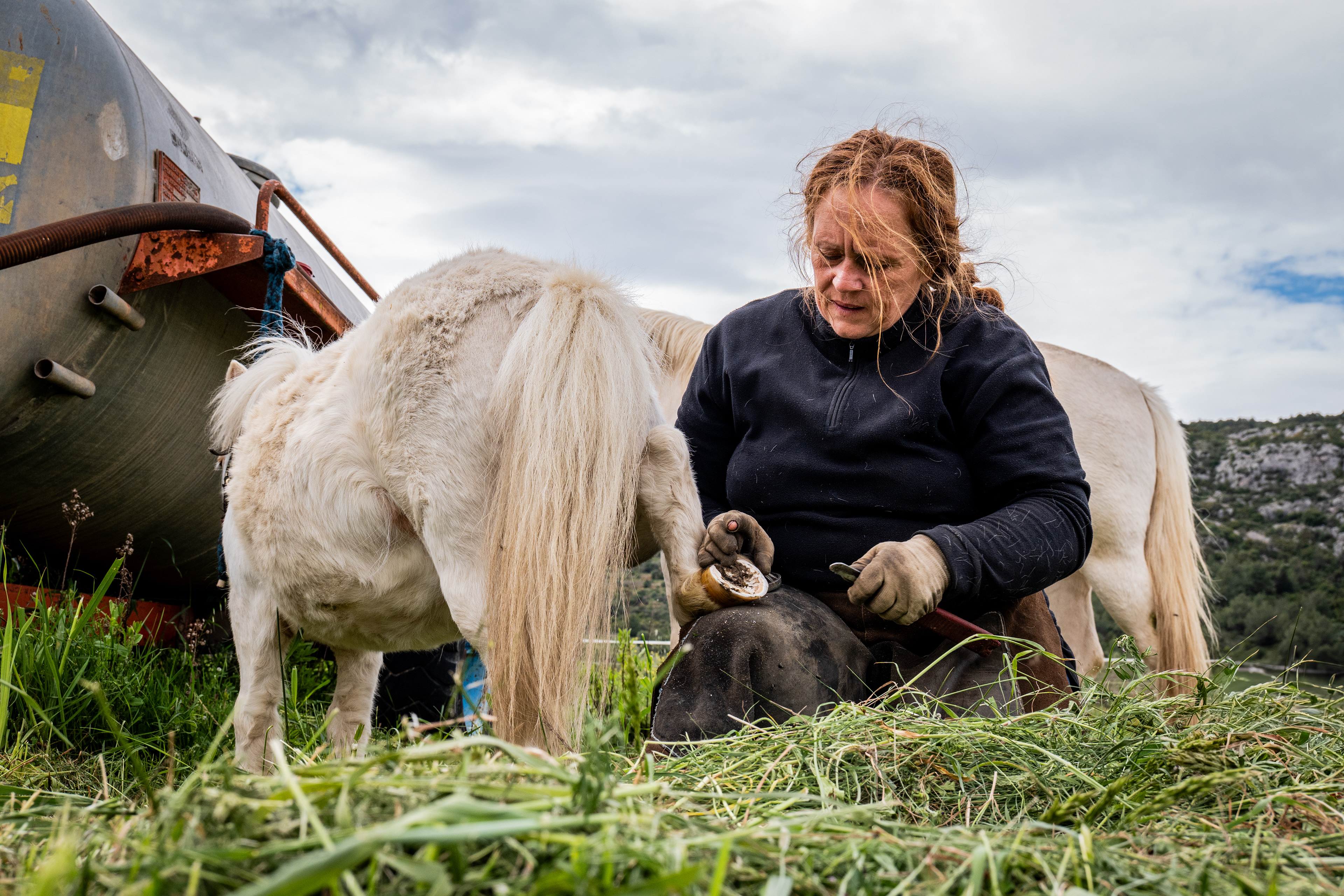 Maud, s'occupe aussi de plus petits équidés, comme ici son poney Shetland