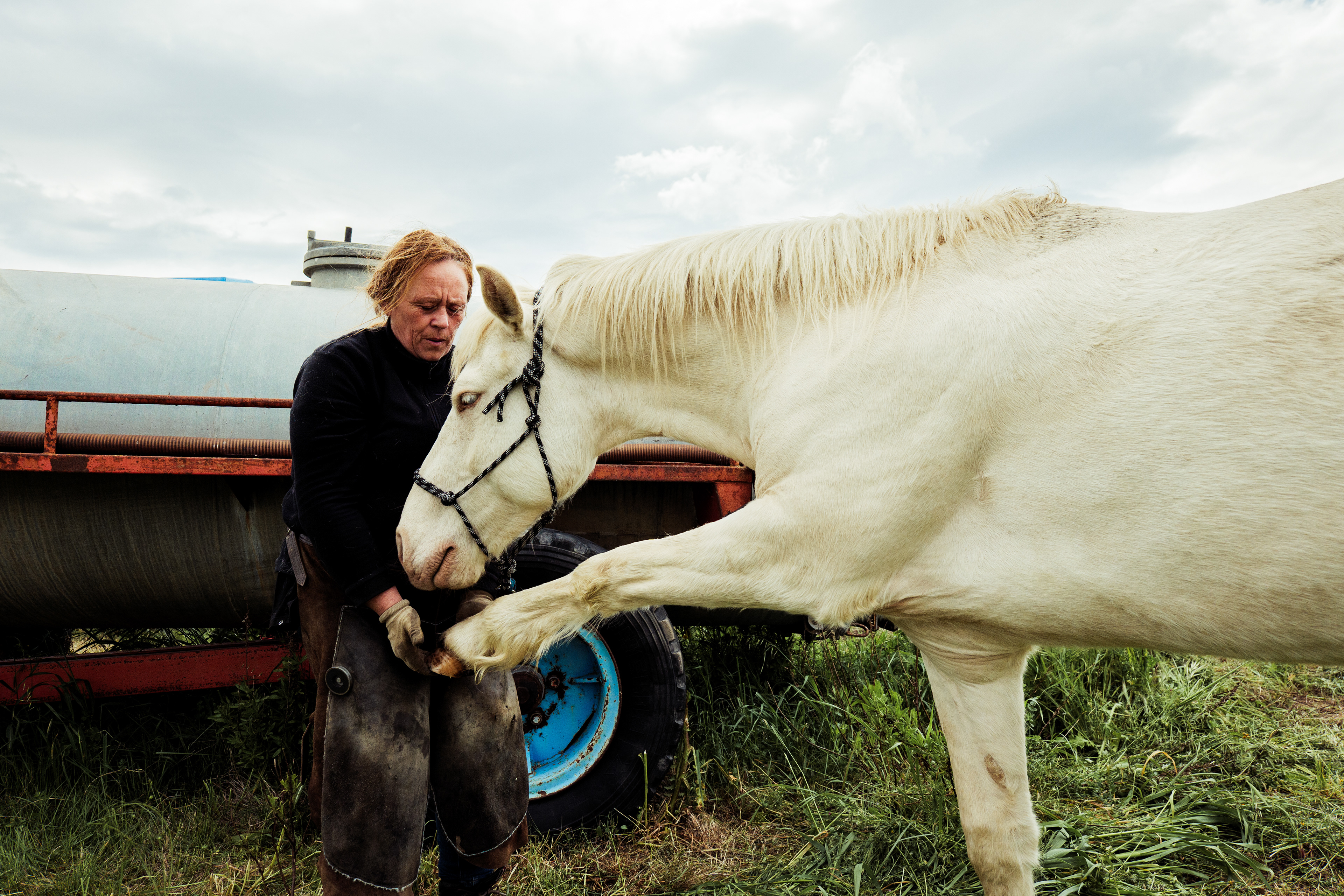 Comme tous les maréchaux, Maud pratique aussi l'ostéopathie pour optimiser l'aplomb des équidés. Ici, elle étire l'antérieur gauche de son Quarter Horse Kinder