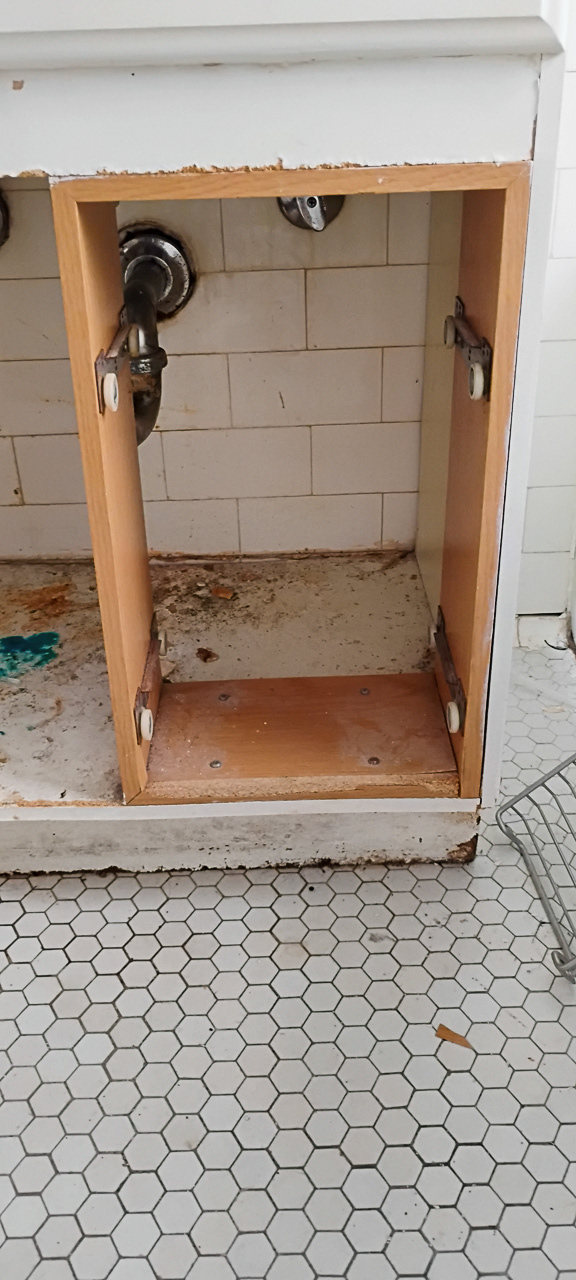 THE AWFUL VANITY WHICH IS NO LOGER