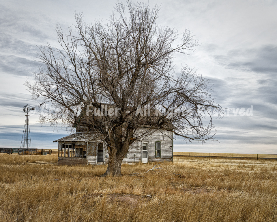 On the Prarie, Every House Needs a Tree and a Windmill - Weld, County, Colorado