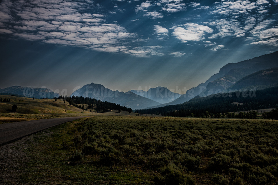 Sunrays on Lamar Valley - Yellowstone National Park