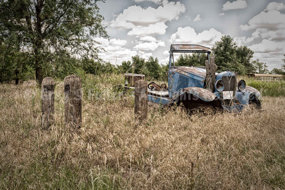 Stuck in Texola - A Dead Tree Stuck in a Truck - Antique 1920s 1930s Chevy Pickup Truck -- Texola, Oklahoma