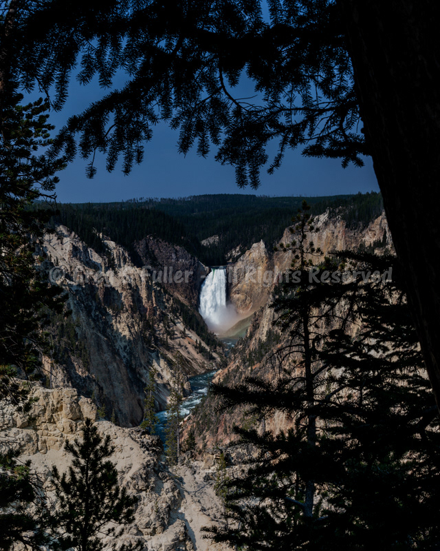 Scenic Yellowstone Canyon & Lower Falls - Yellowstone National Park, Wyoming