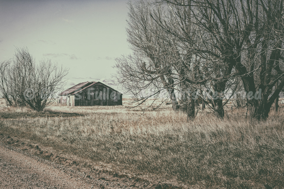 A Well Worn Barn - Weld County, Colorado