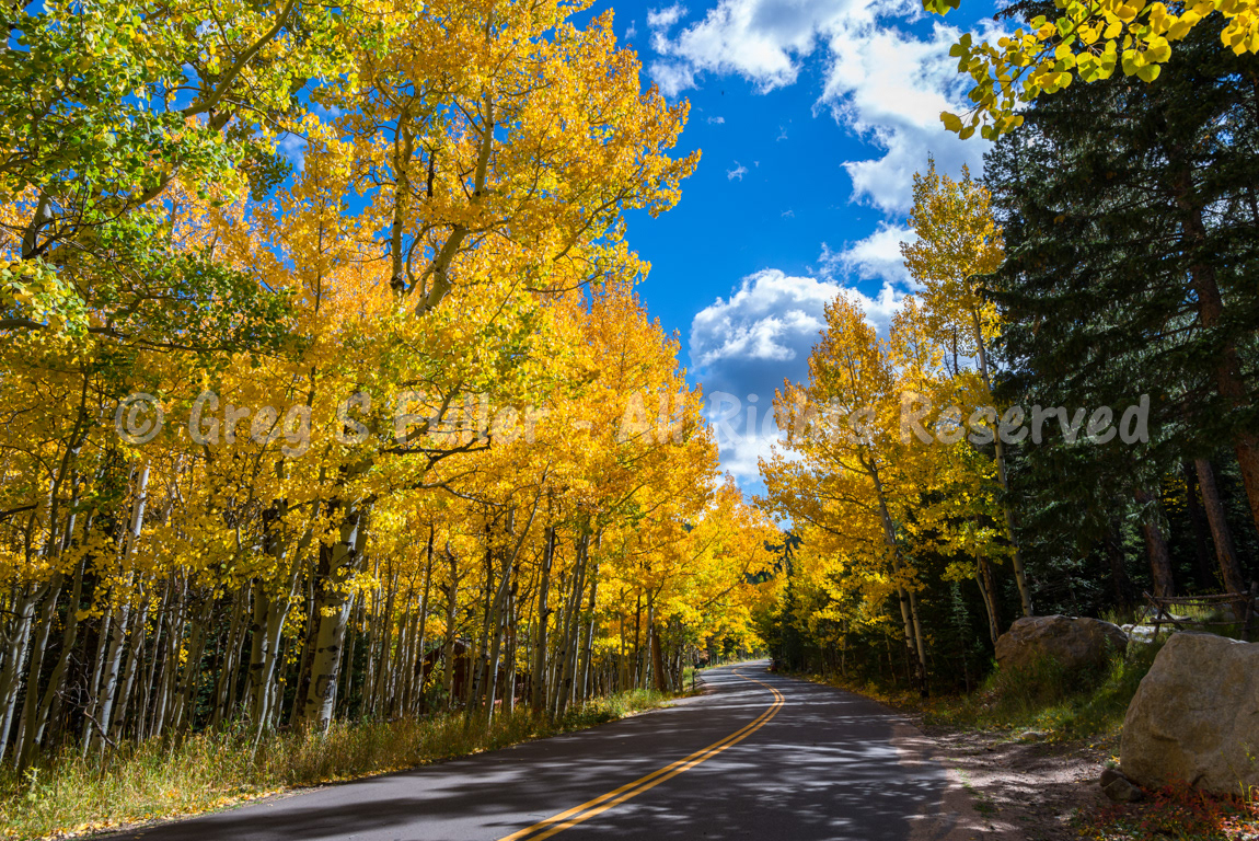 The Road to Gold - Colorado Rocky Mountains