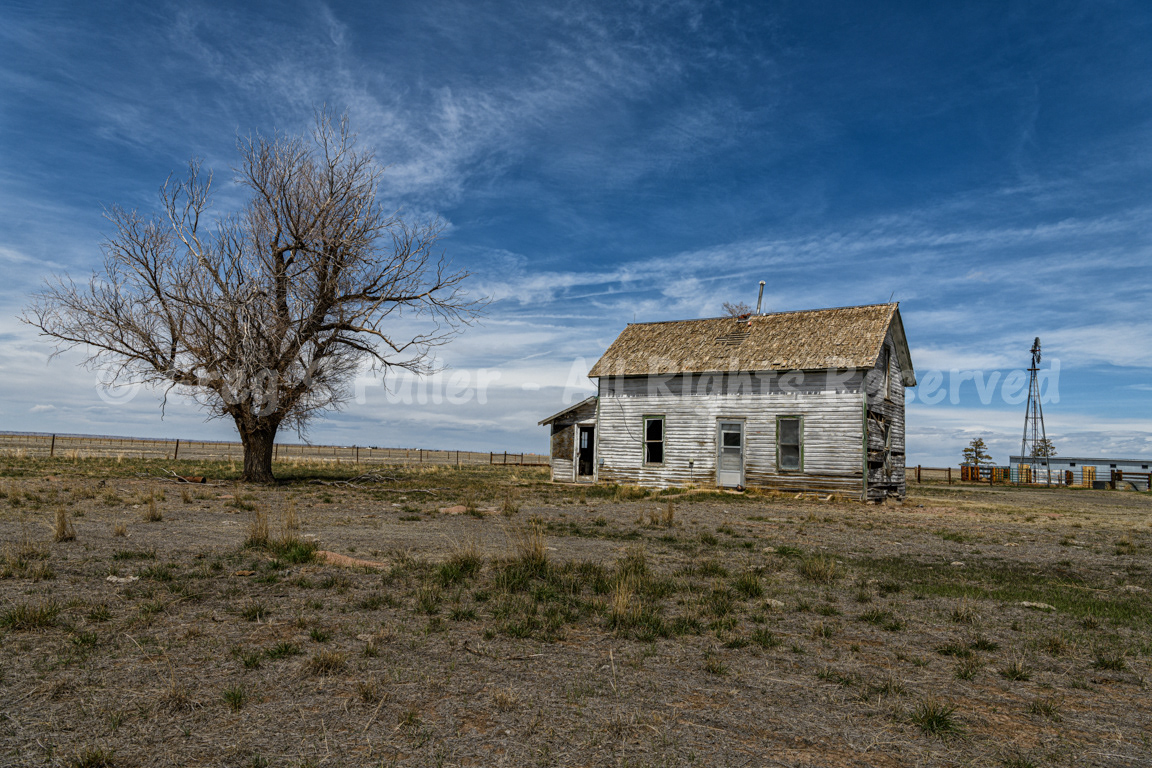 On the Prarie, Every House Needs a Tree and a Windmill - Weld, County, Colorado